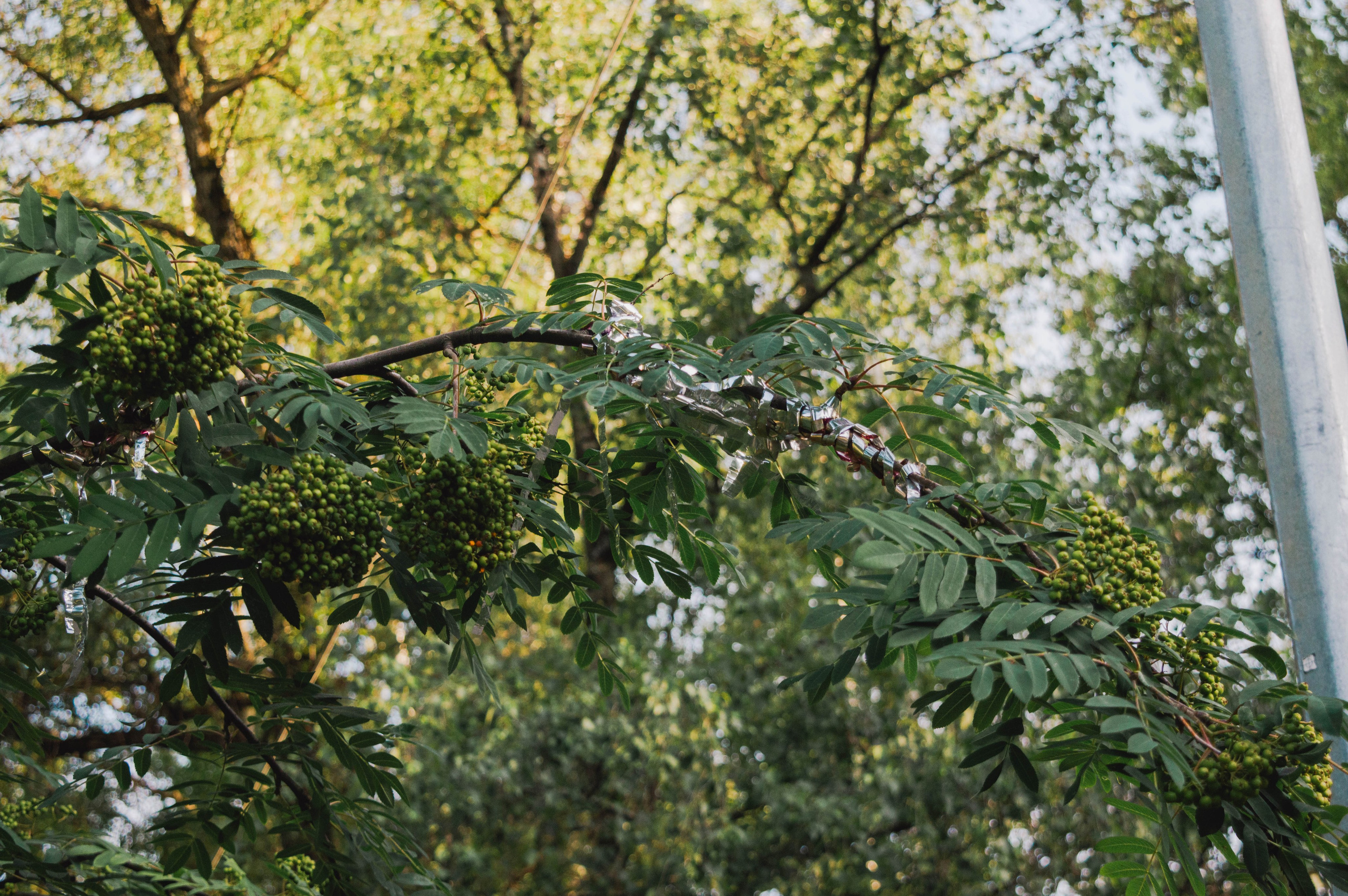 Многослойность городского пространства. Фотограф Анастасия Лощакова в Москве