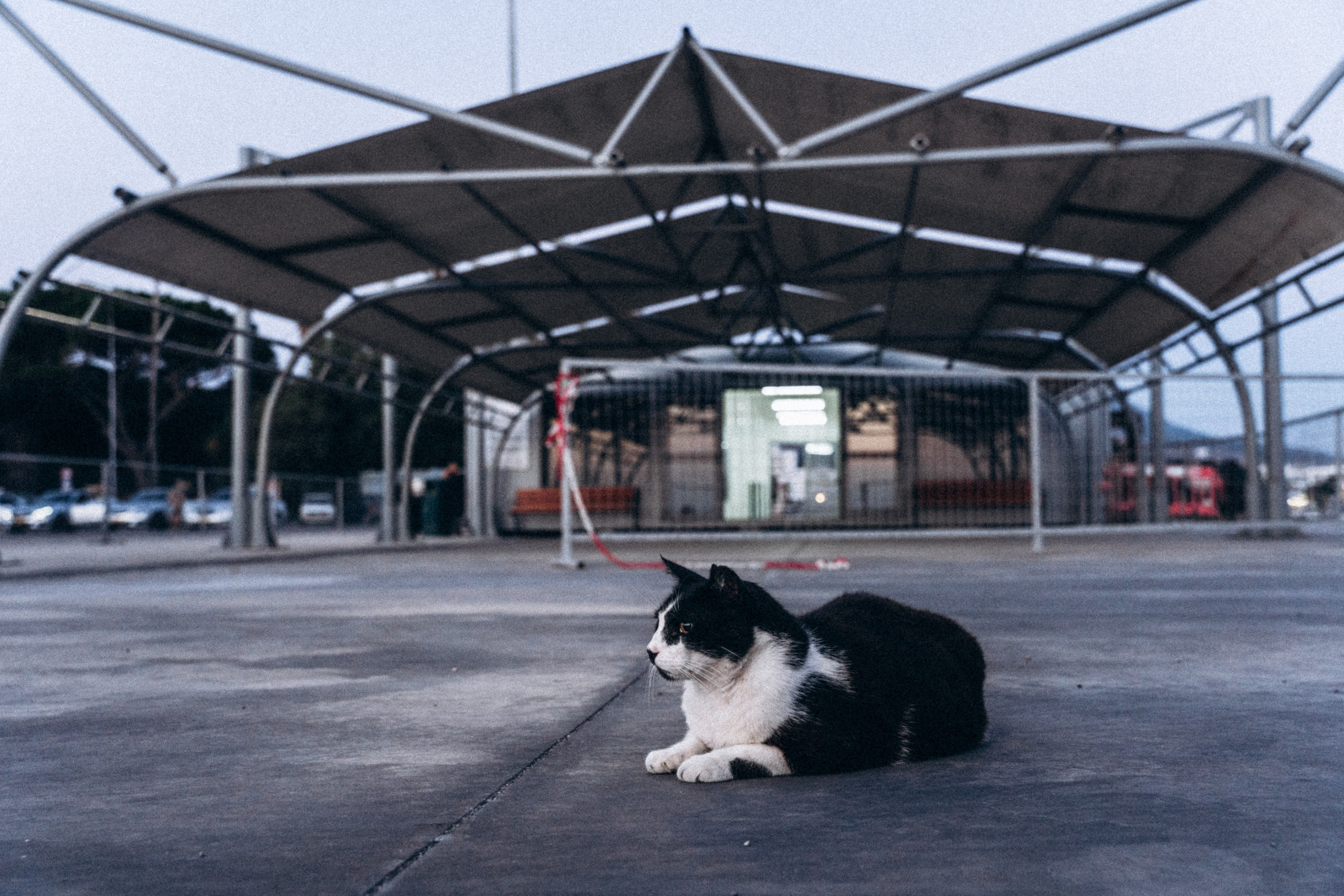 Крит лето!. Anita_photo