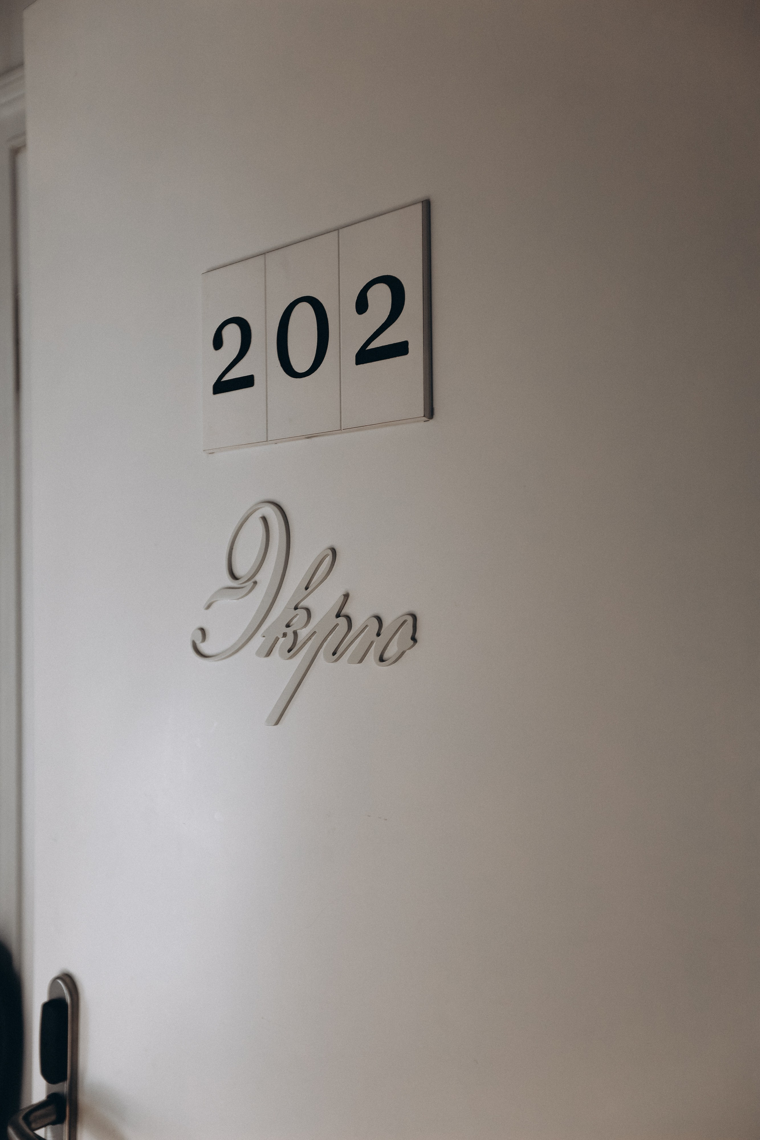 Дарина и Василий. Свадебный и семейный фотограф Захарова Юлия