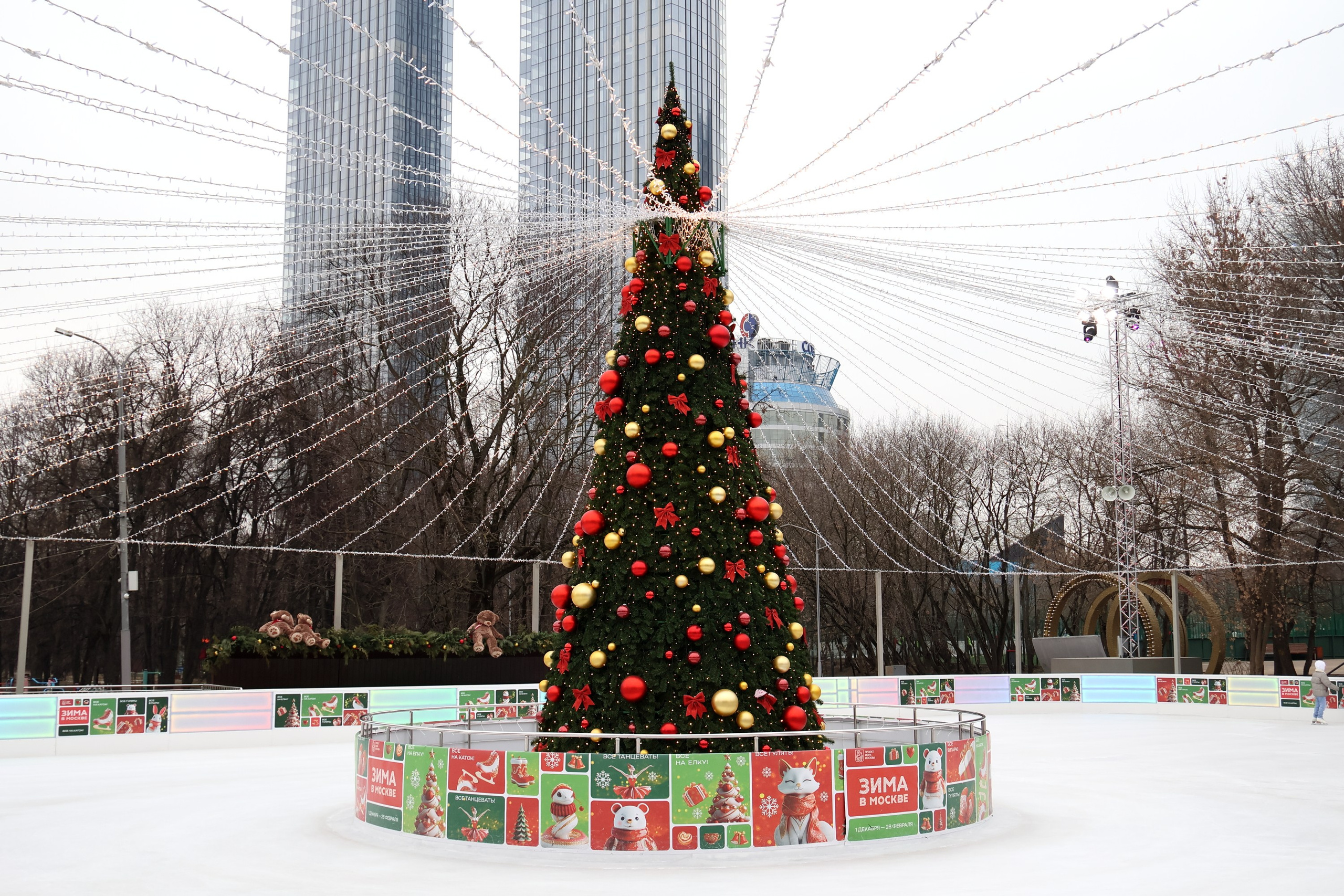 День рождения на катке. Спортивный и репортажный фотограф Ермакова Светлана