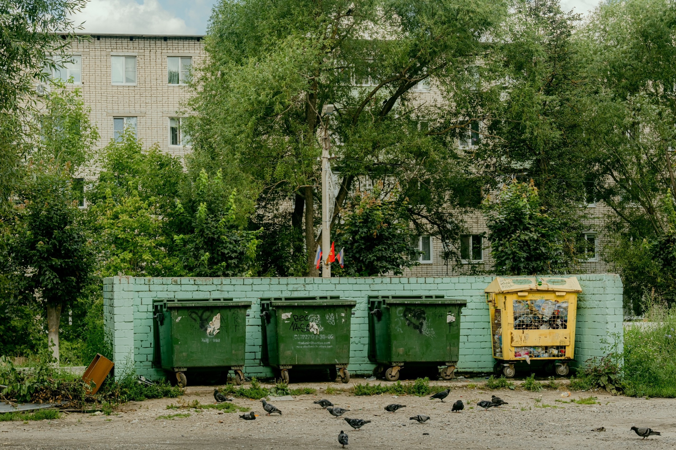 Петушки. Аотограф Екатерина Лапина
