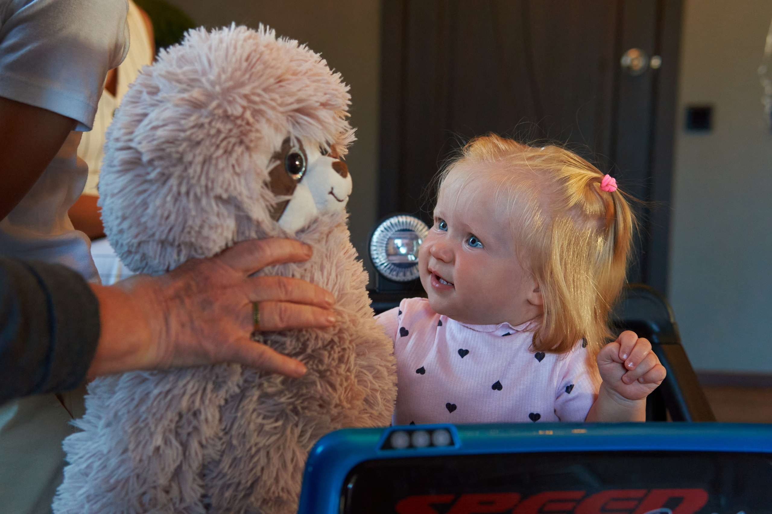 Мне год? ГОД!. Евгений Кудинов | Фотограф в Холмске