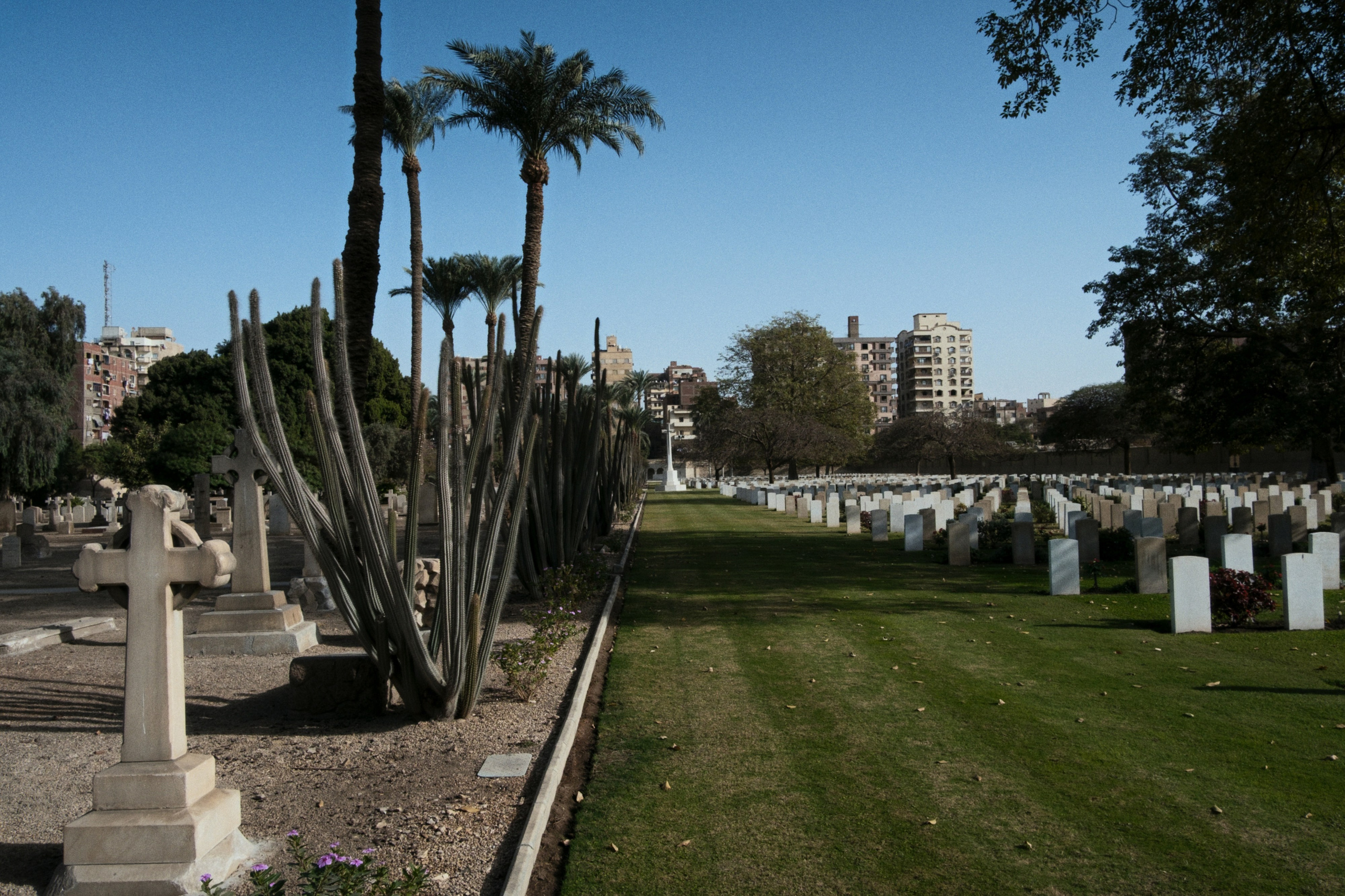 War Memorial Cemetery / Cairo, Egypt AW25. Фотограф Юрин Евгений