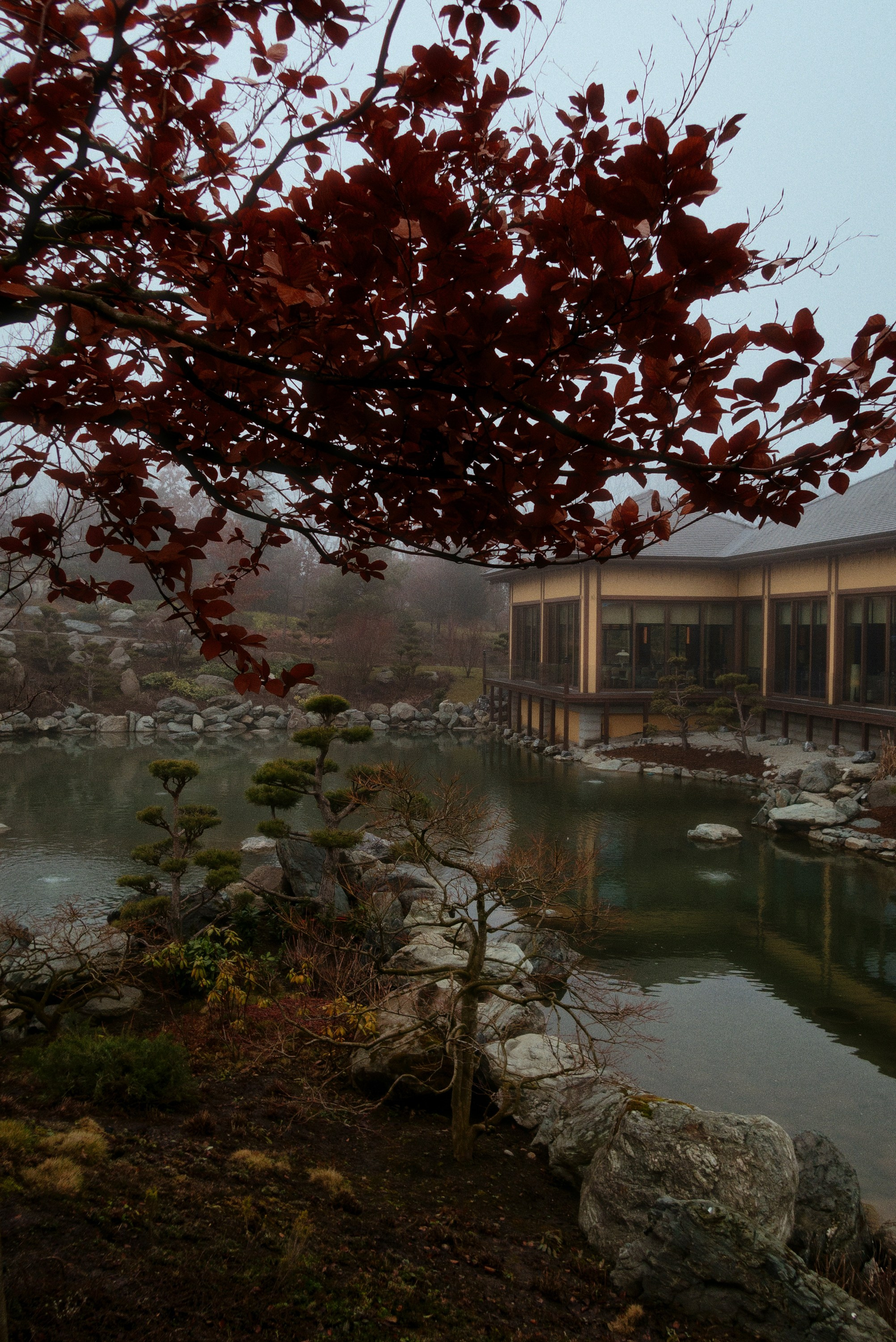 OM-System Tough-7 / Park Krasnodar (japan). Фотограф Юрин Евгений