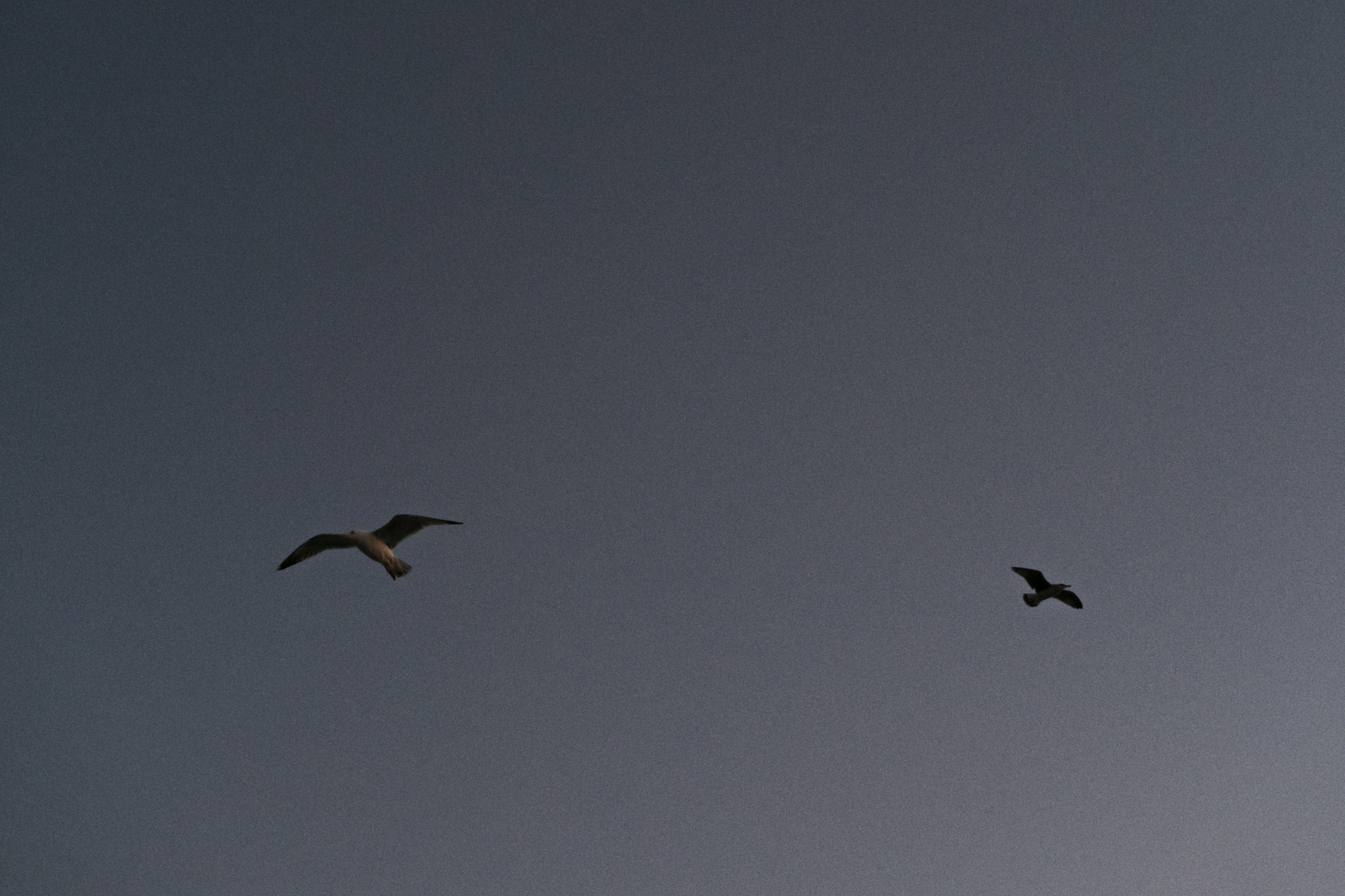 Kadikoy x Moda, Istanbul / Türkey AW25. Фотограф Юрин Евгений