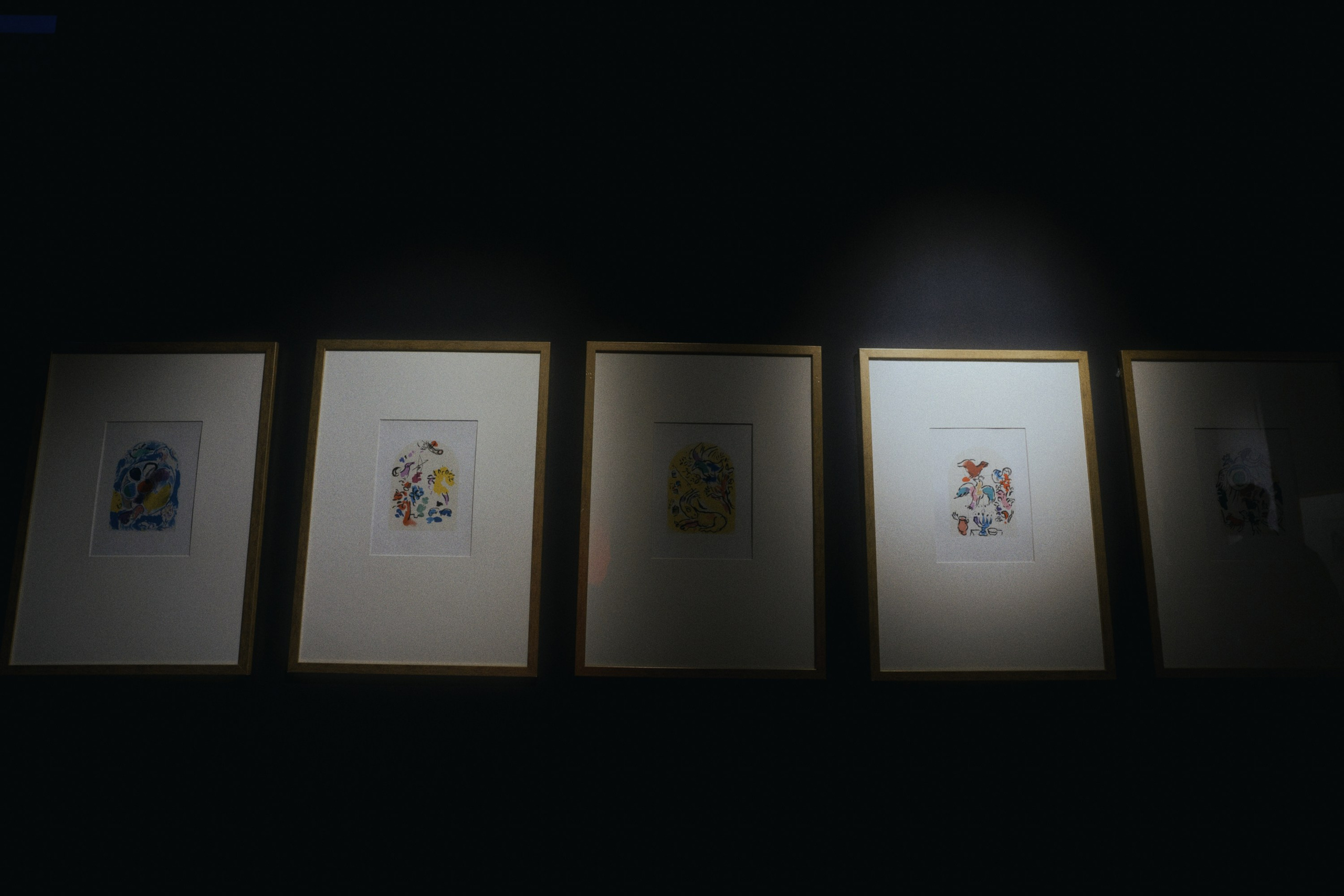 Lumiere Hall. Фотограф Юрин Евгений