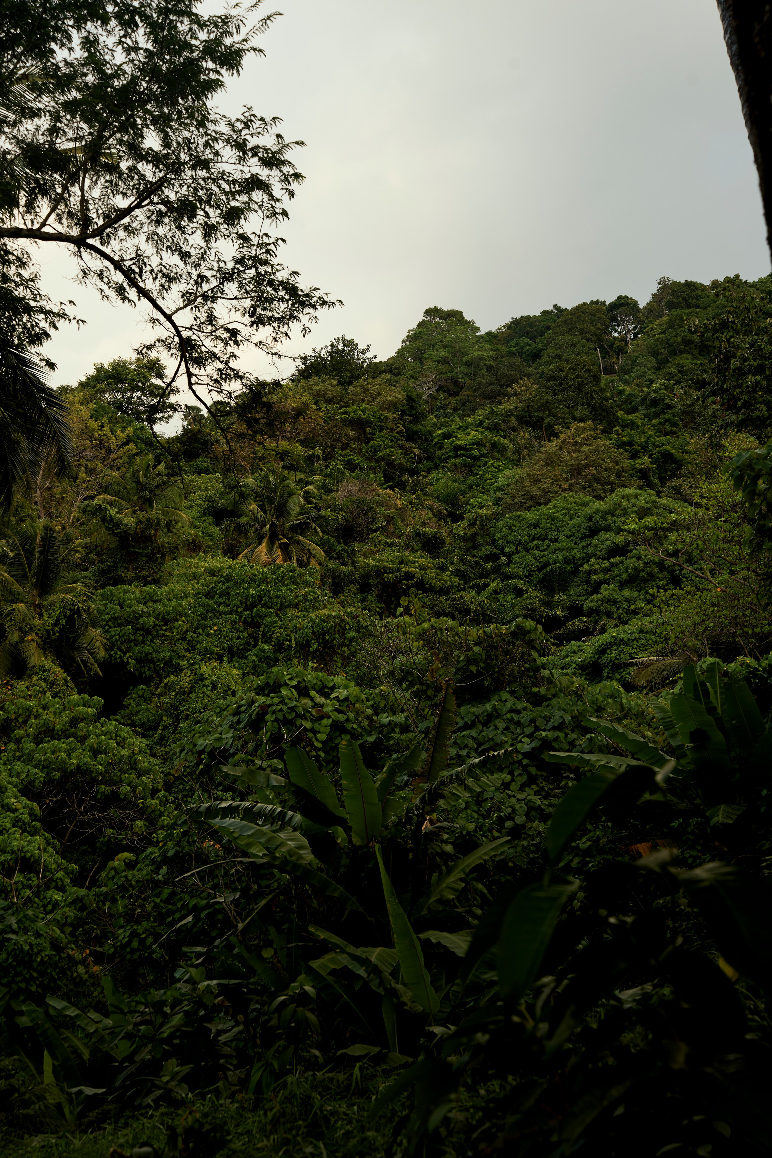 ТАИЛАНД. Студийный фотограф в Екатеринбурге Бшари Заана
