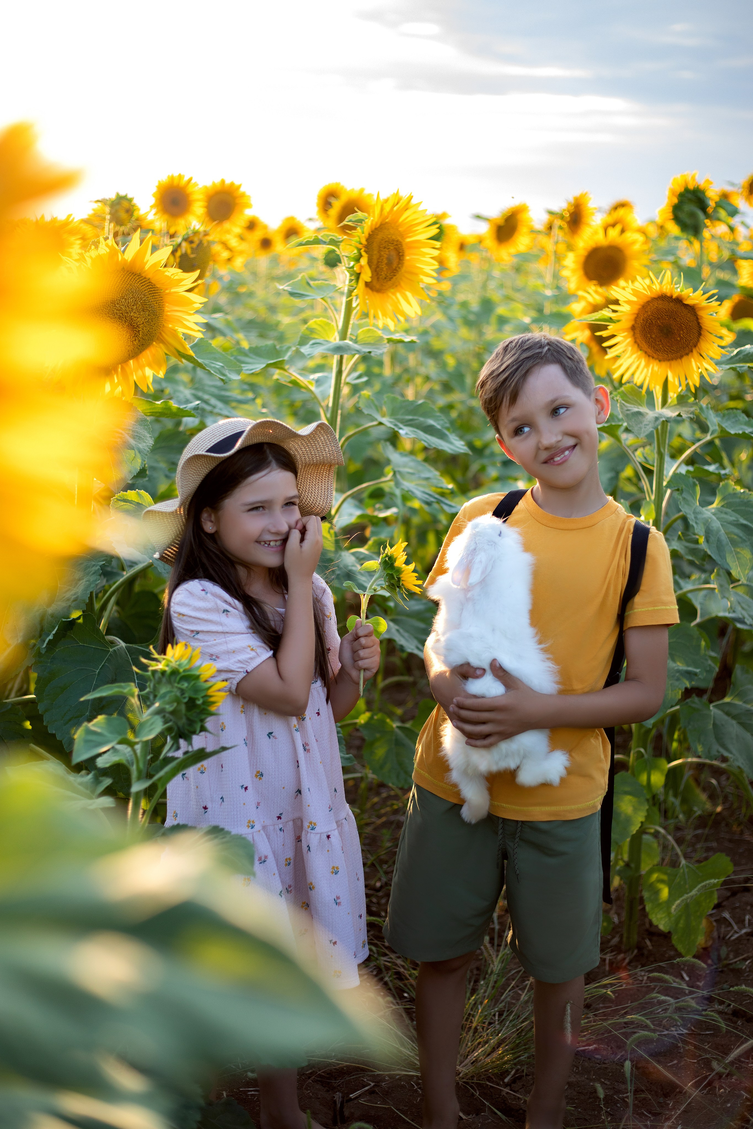 ПОДСОЛНУХИ. Фотограф Севастополь/Крым Светлана Евтушенко