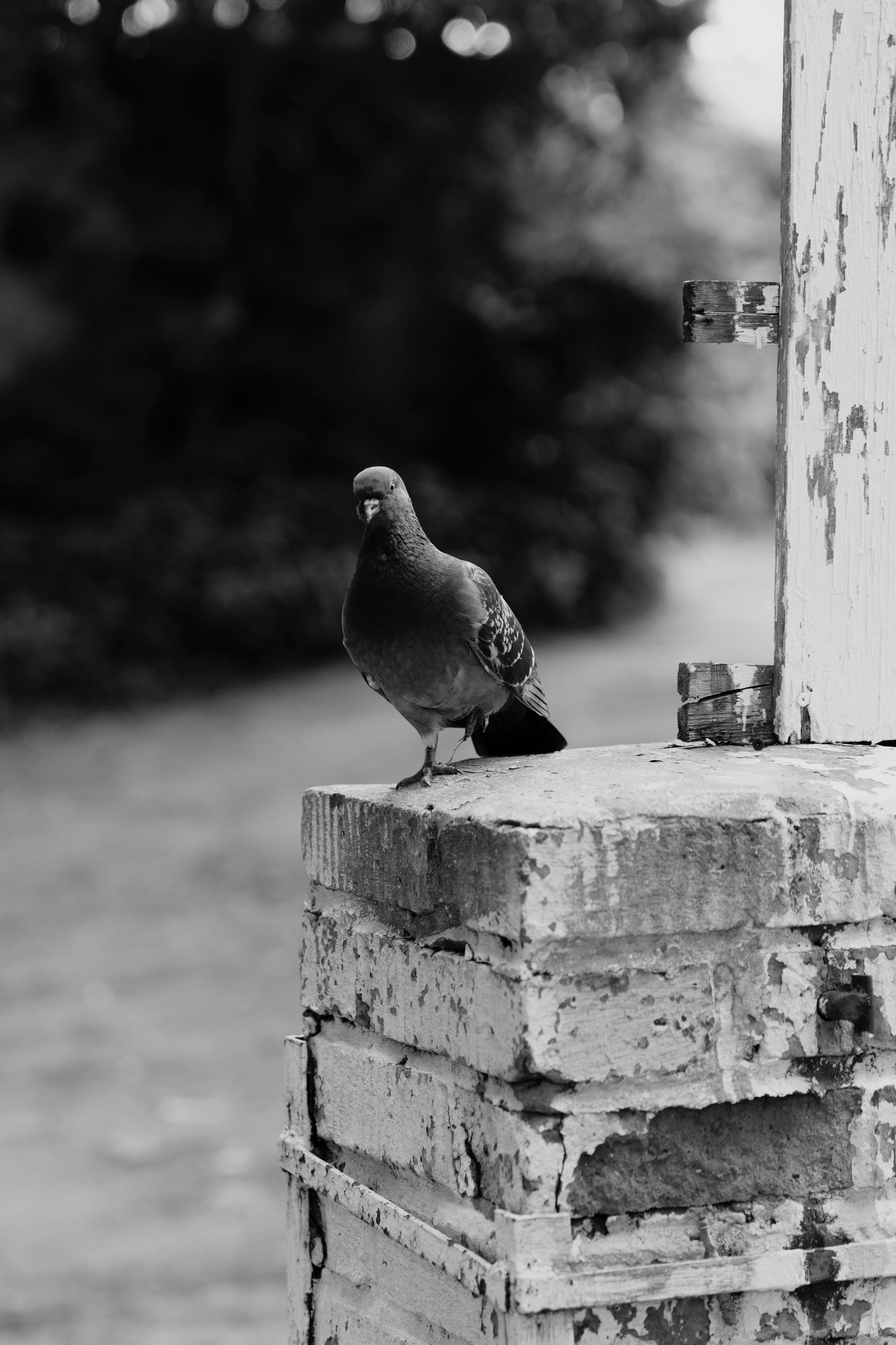 Проект к 650-ти летию города Кирова. Фотограф Киров Токарева Марина