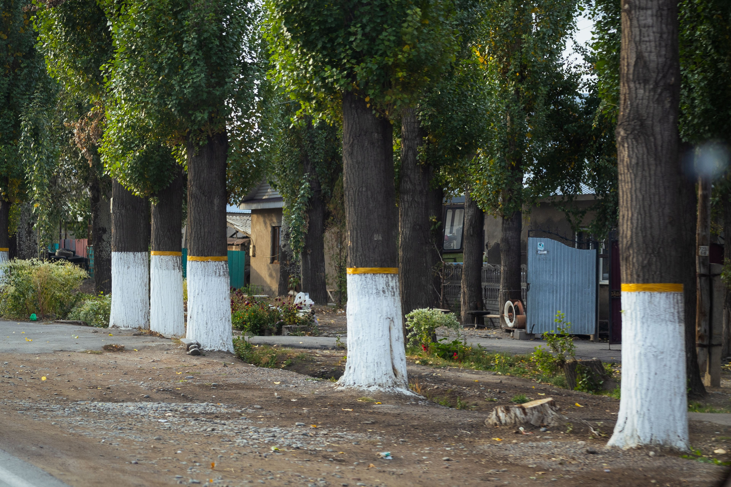 Казахстан (осень 2024). Фотограф Виноградов Константин