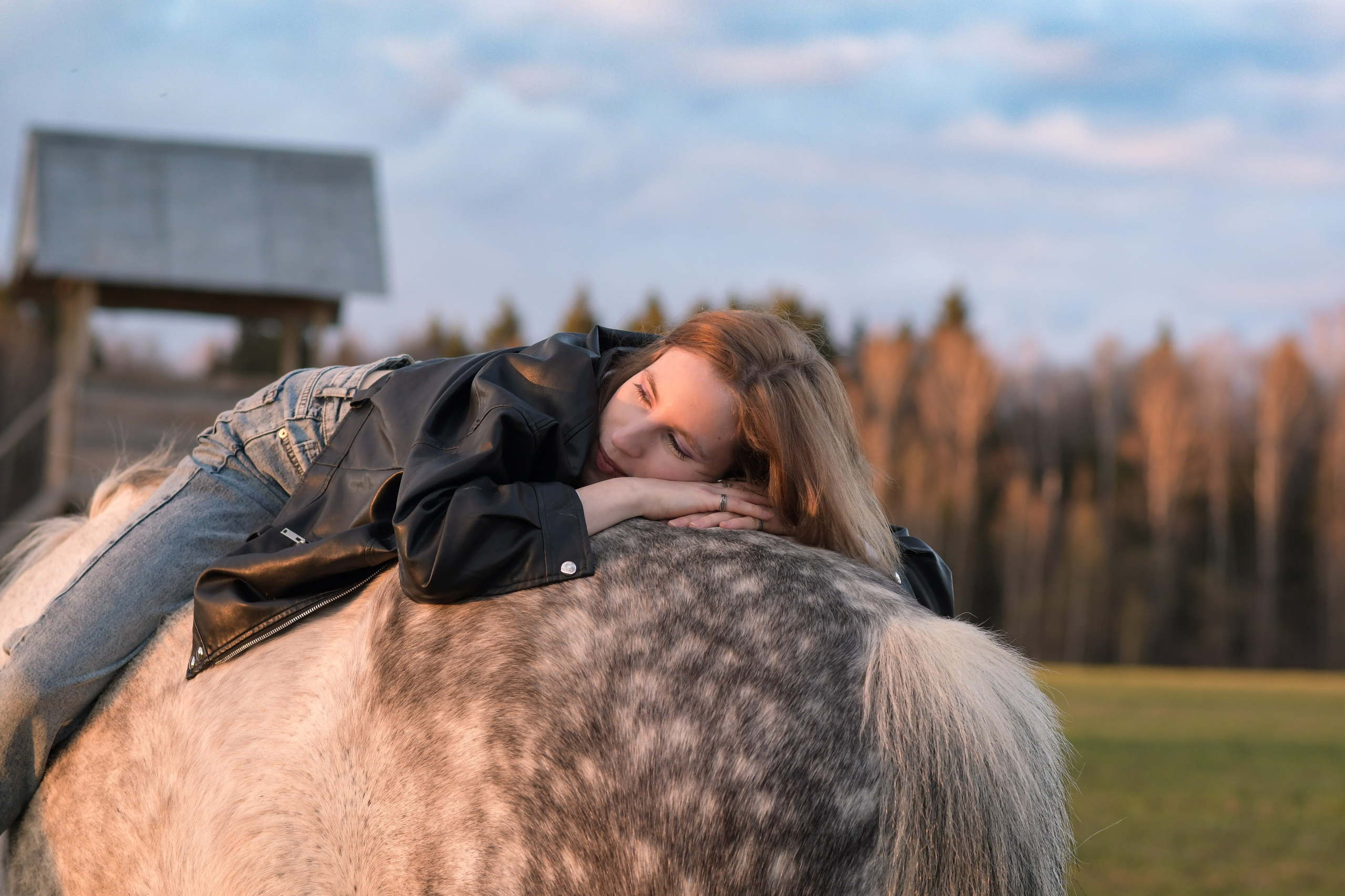 Портретная фотосессия с лошадьми. В созвучии с природой. Фотограф Светлана В. Пронина, Москва