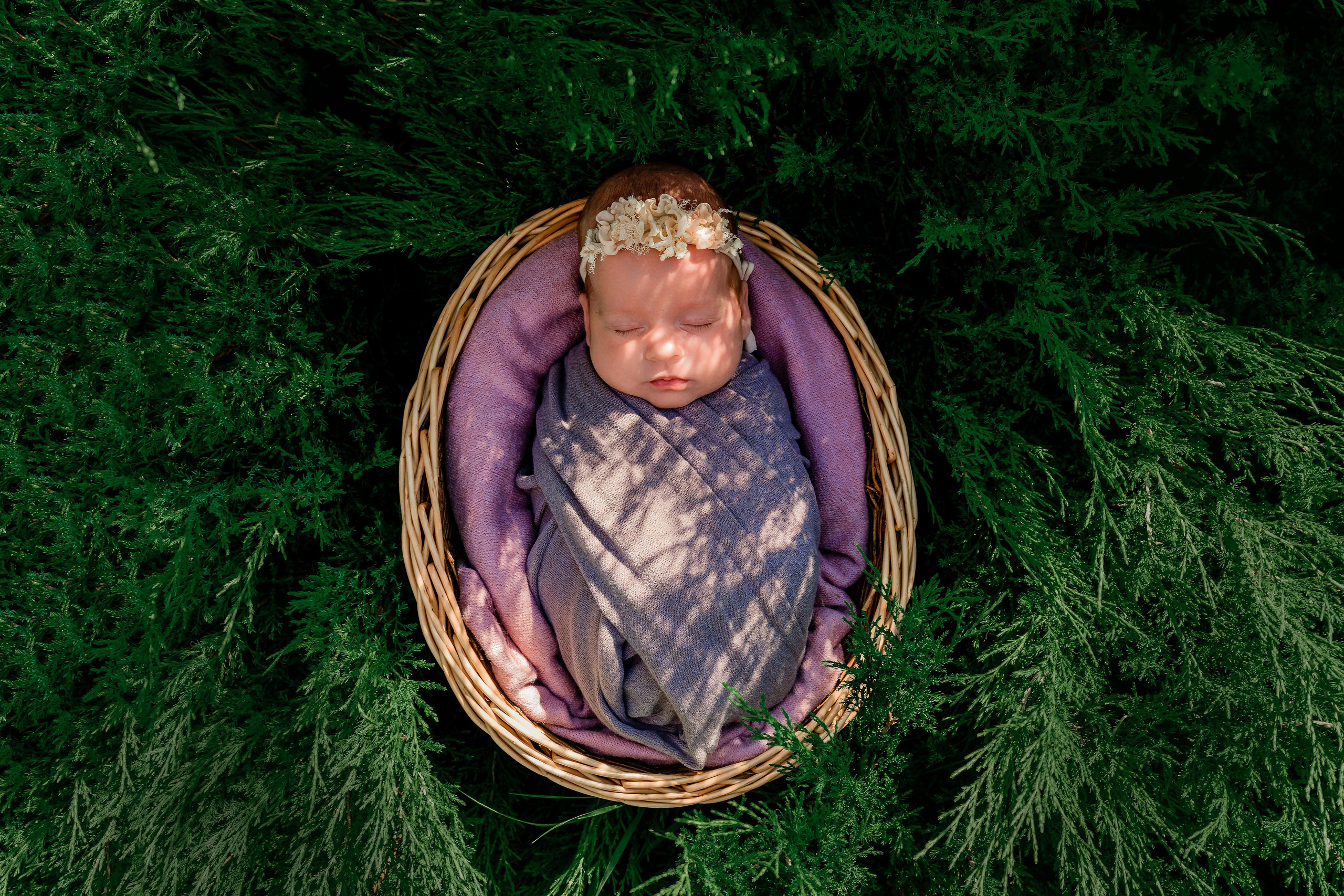 Newborn. Ада Колесова newborn фотограф, детский и семейный фотограф, в ожидании чуда