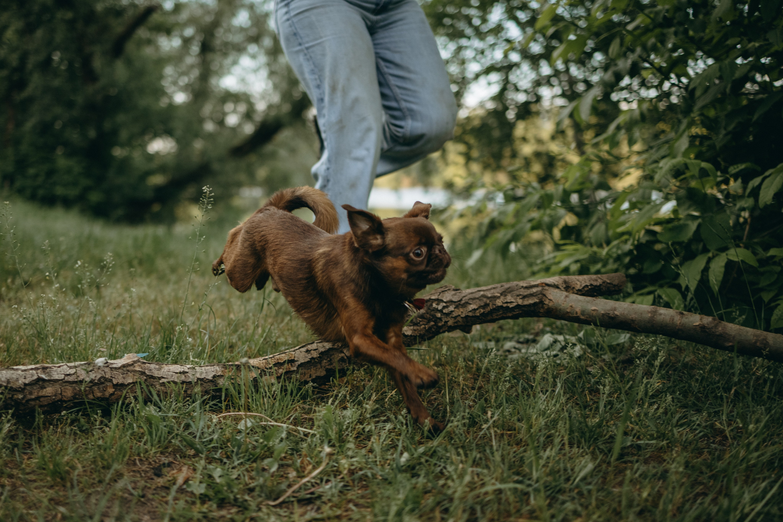 Екатерина и Лёня. Фотограф — Анималист | Санкт-Петербург