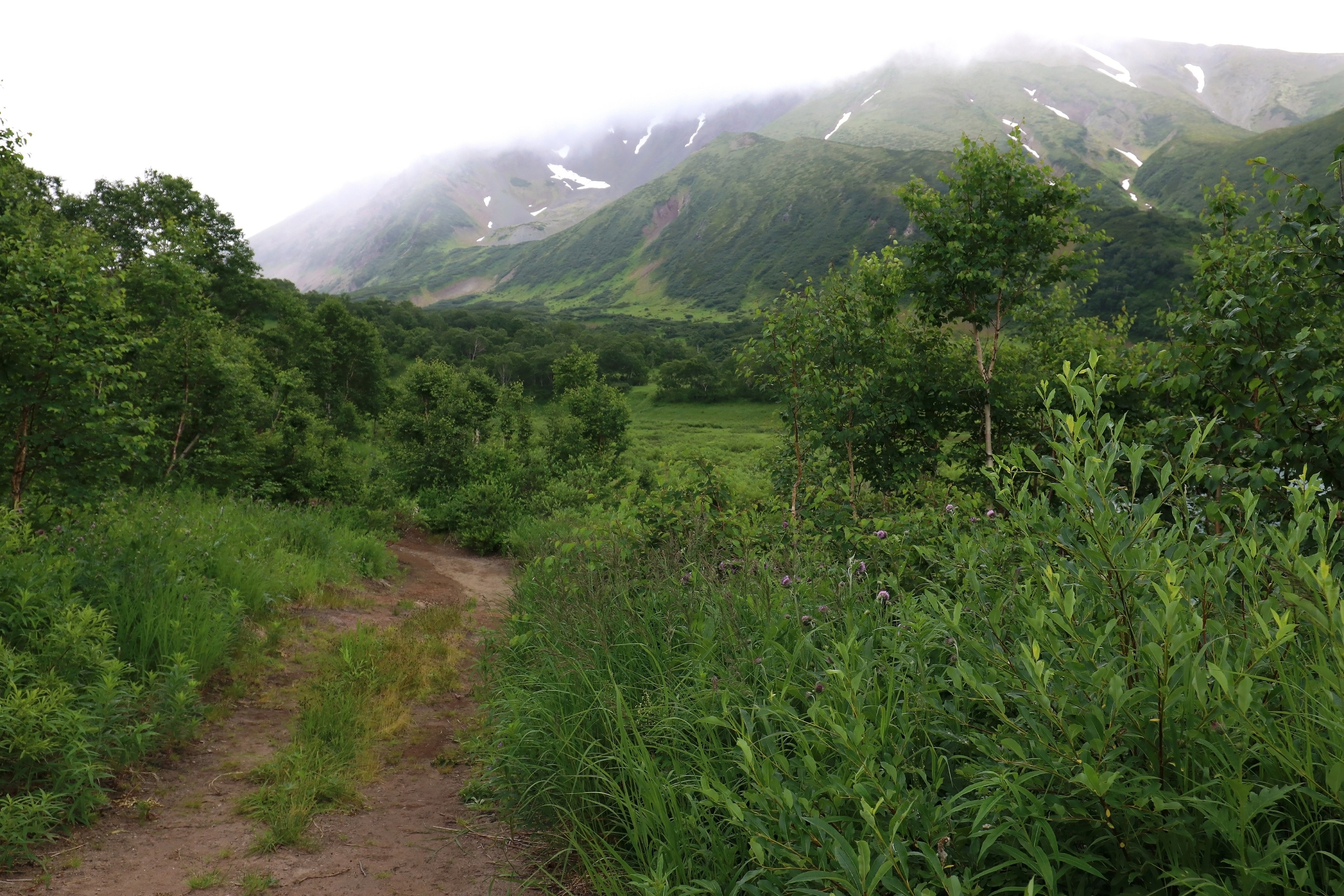 Камчатка и о. Парамушир. Июль 2024. Путешественник-фотограф из Санкт-Петербурга Татьяна Свистулина