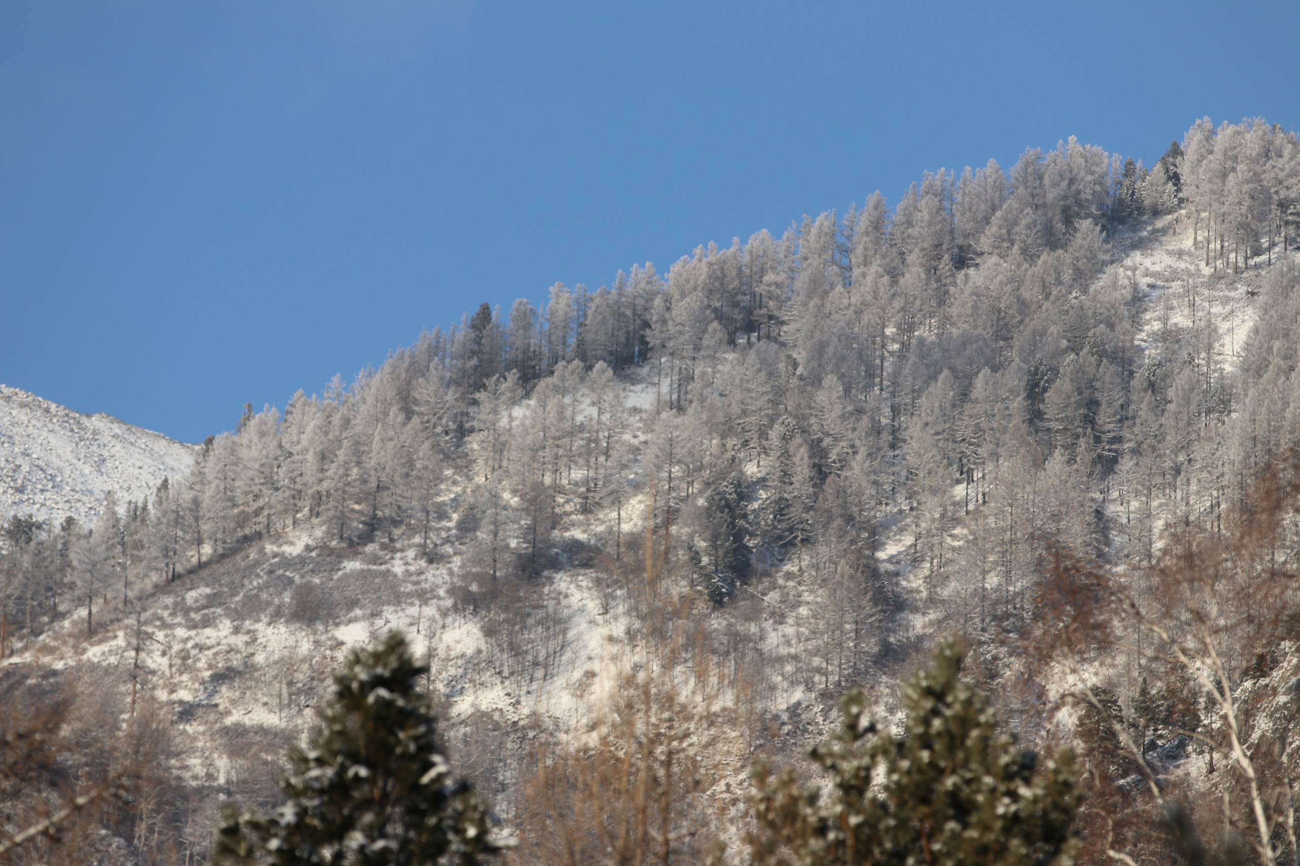 Аршан. Январь 2024. Путешественник-фотограф из Санкт-Петербурга Татьяна Свистулина