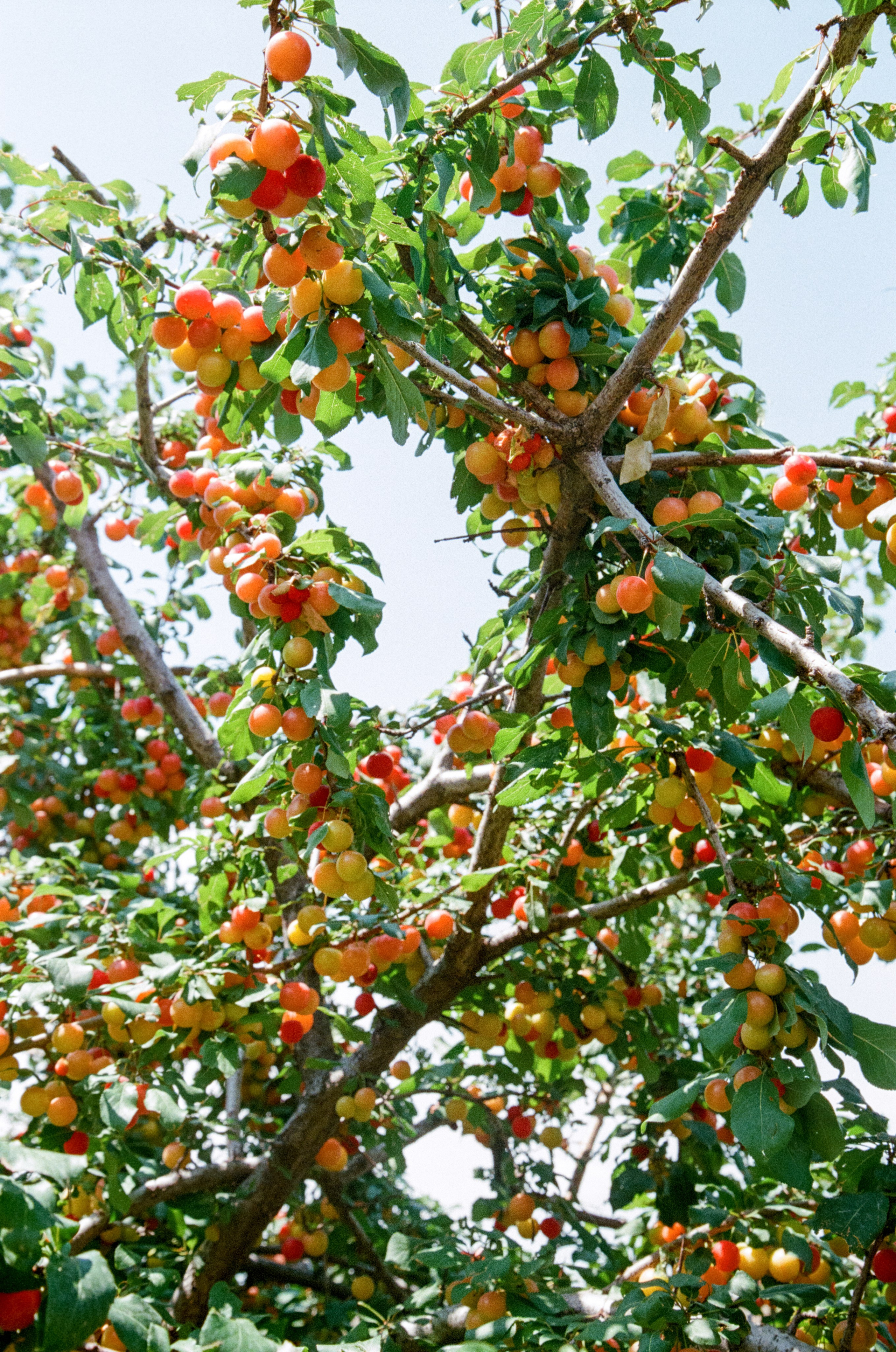 АРМЕНИЯ.24. Профессиональный фотограф Федотова Арина