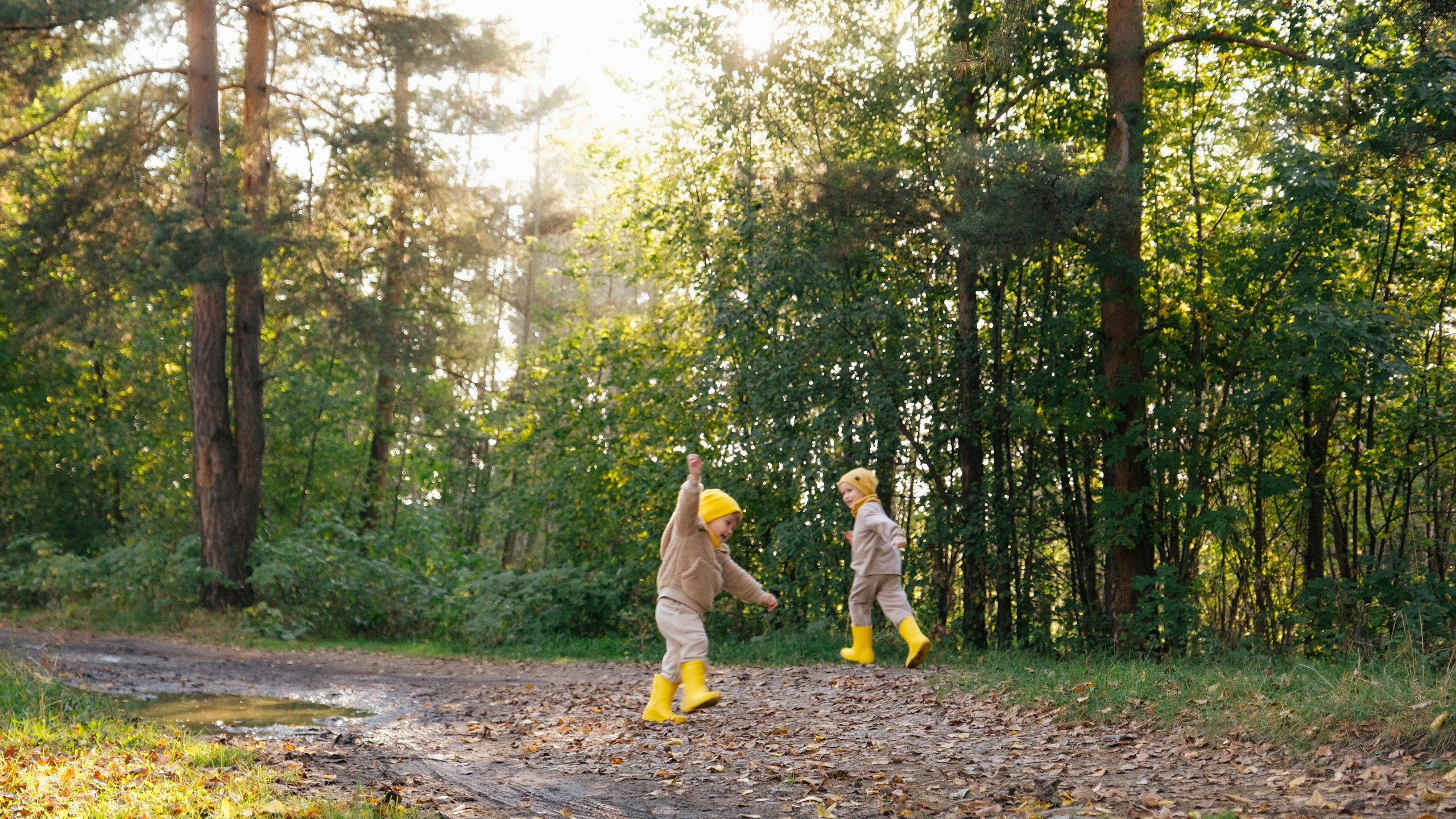 Осень. Свадебный Видеограф Фотограф в Сочи