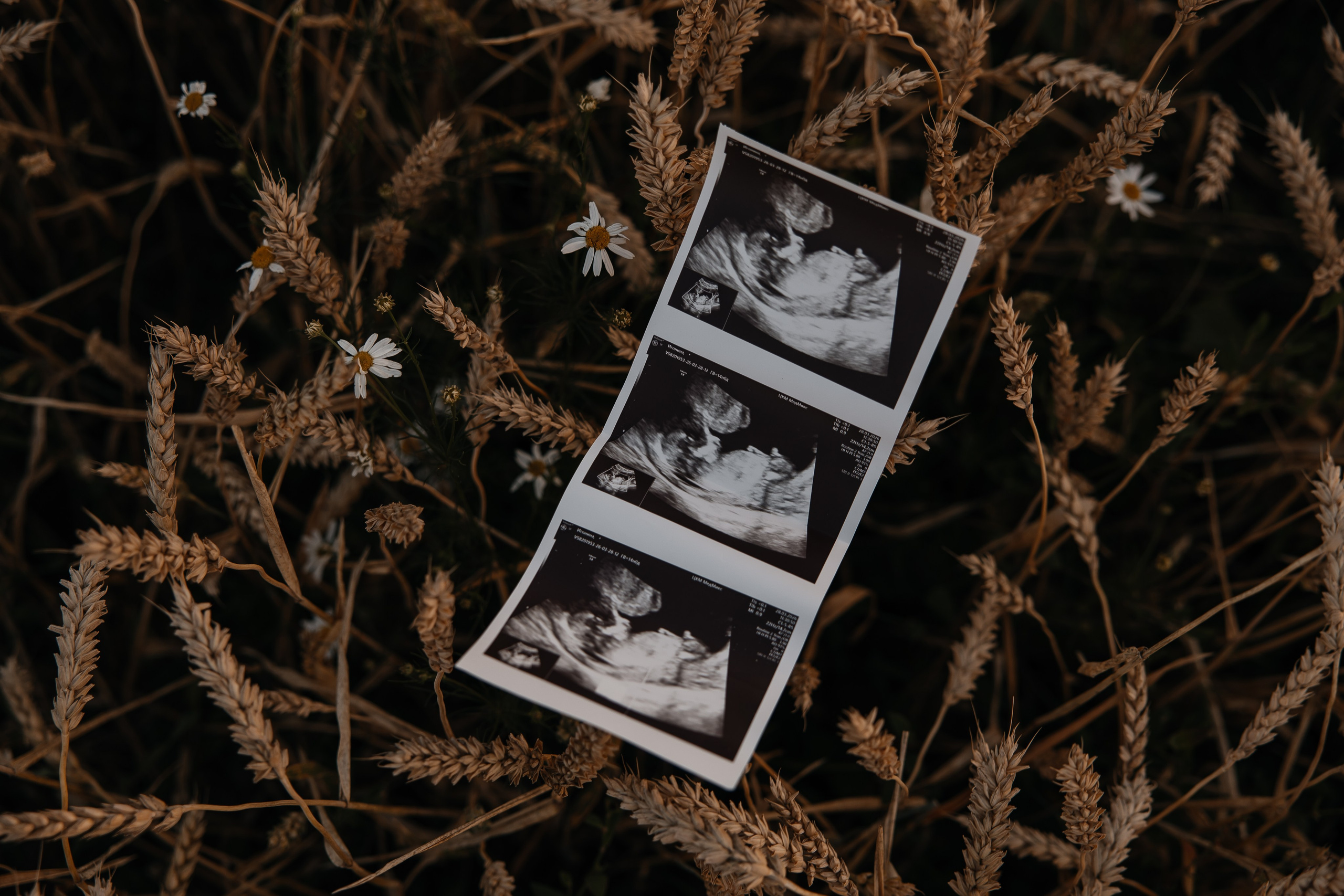 Александра. Фотограф Пенза Марина Арбузова |свадебный и семейный фотограф