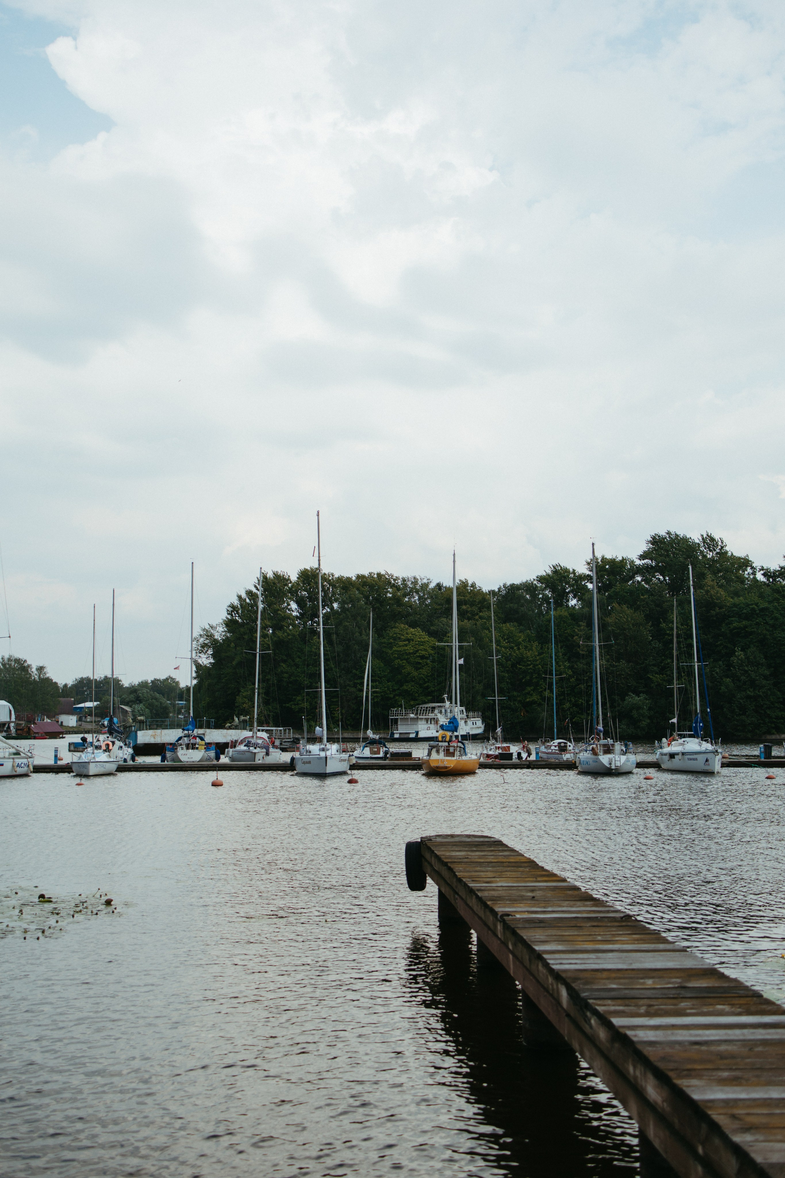 Анастасия и Дмитрий. Семейный и свадебный фотограф в Самаре Анастасия Воропаева