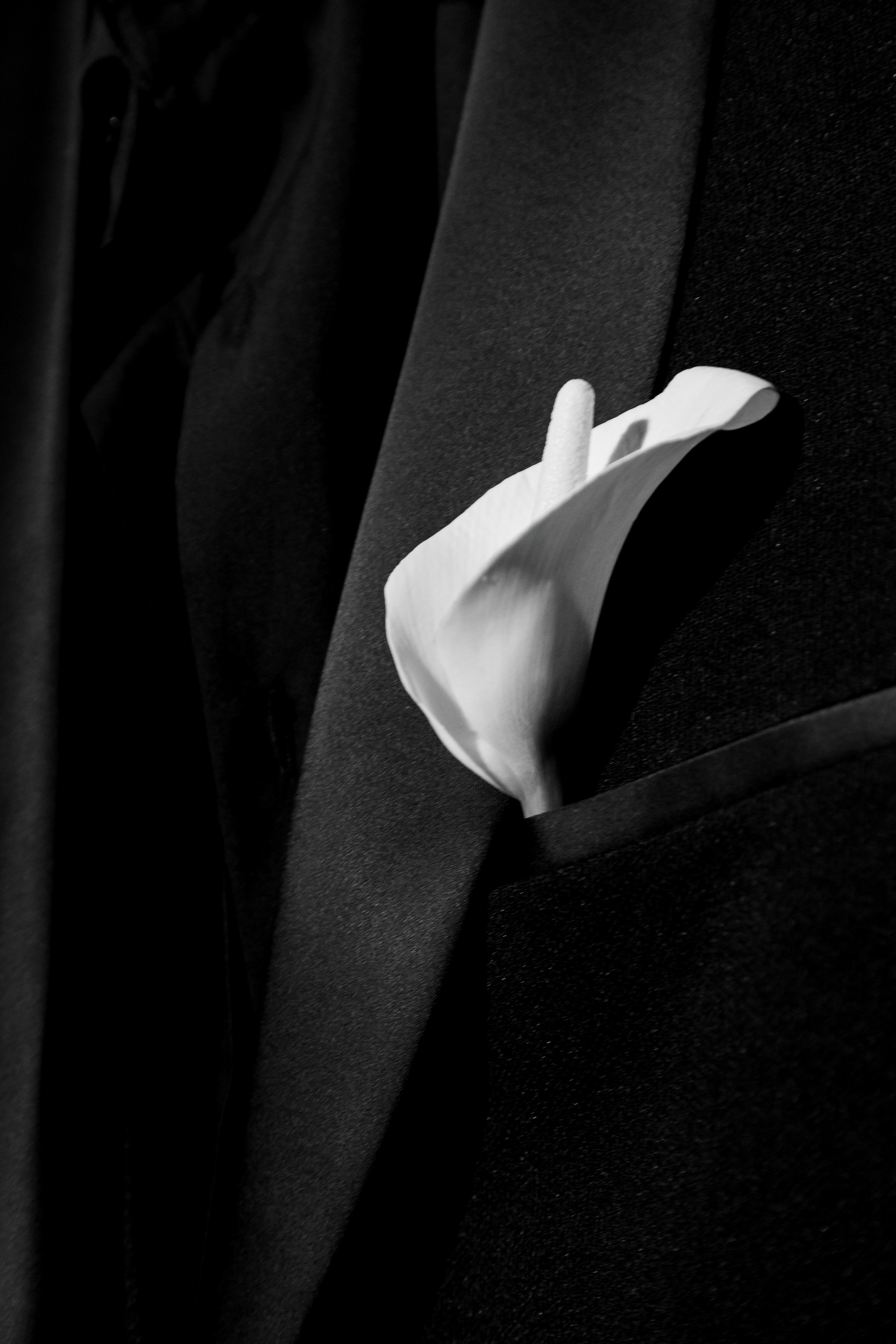 Торжество нашей любви. Фотограф в Самаре / Олеся Широнина