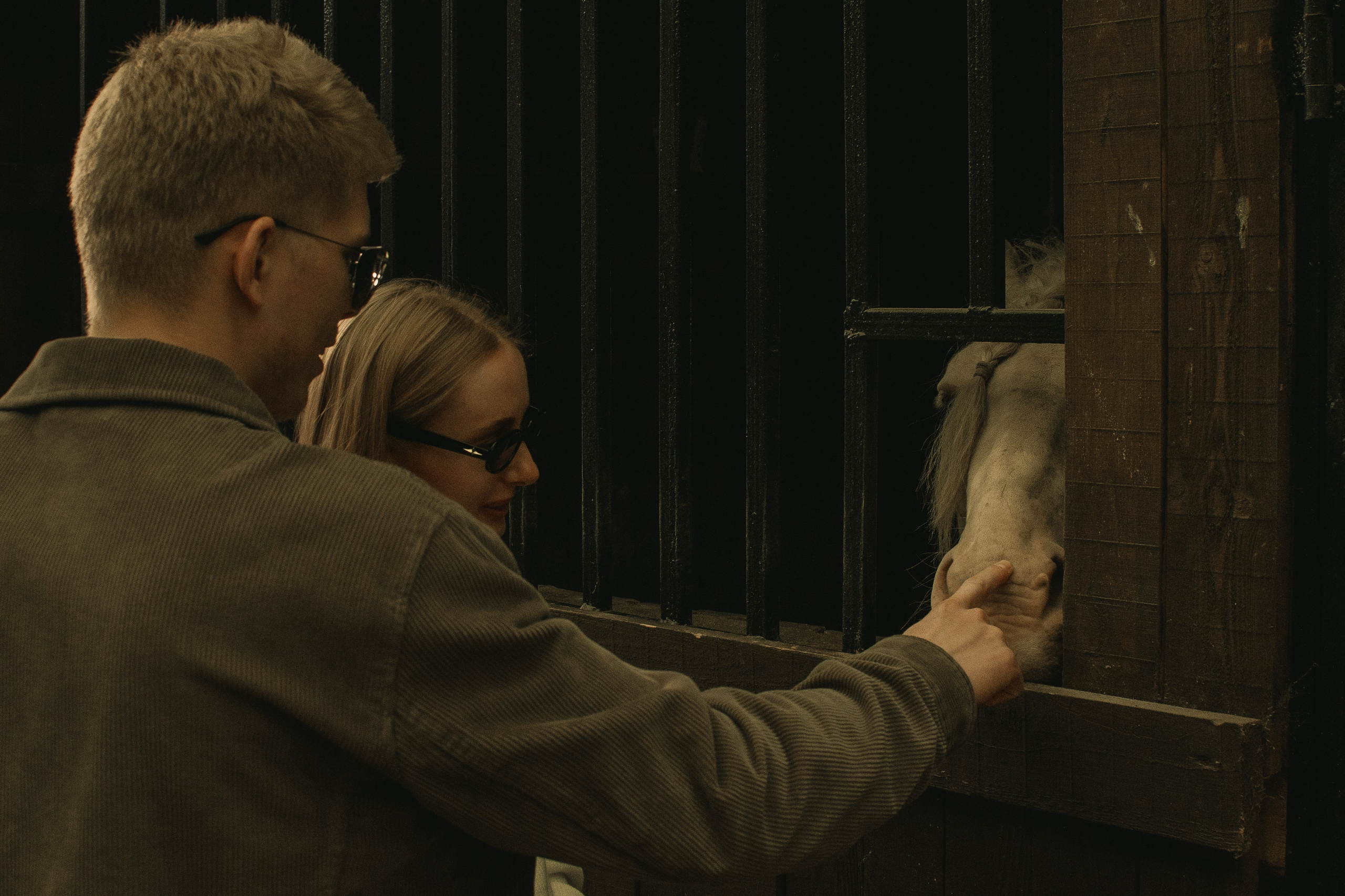 Дом-музей лошадей Хуторъ. Фотографы в Тюмени Андрей и Лидия Войвод