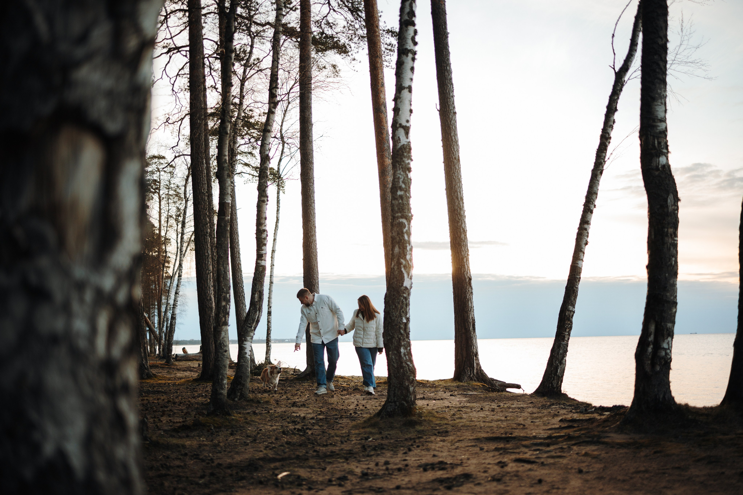 Найт и его семья. Фотограф — Анималист | Санкт-Петербург