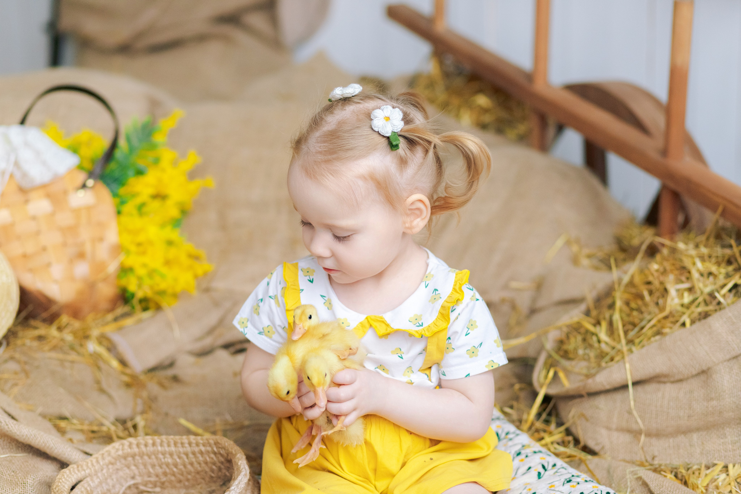 Пасхальная фотосессия с утятами в студии. Семейный фотограф Анна Скворцова