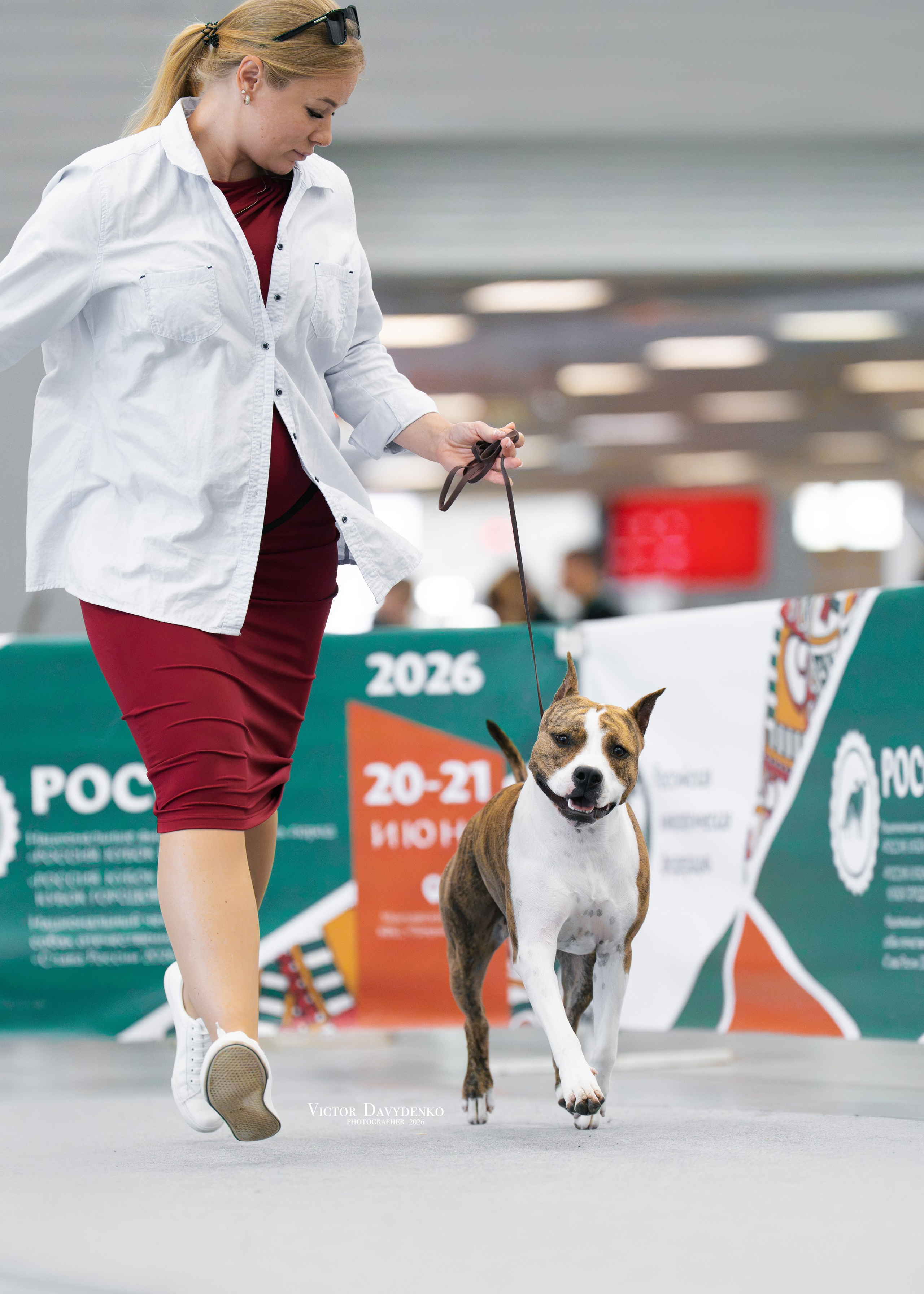 Dog Show. Давыденко Анна / Фотограф Краснодар/Сочи