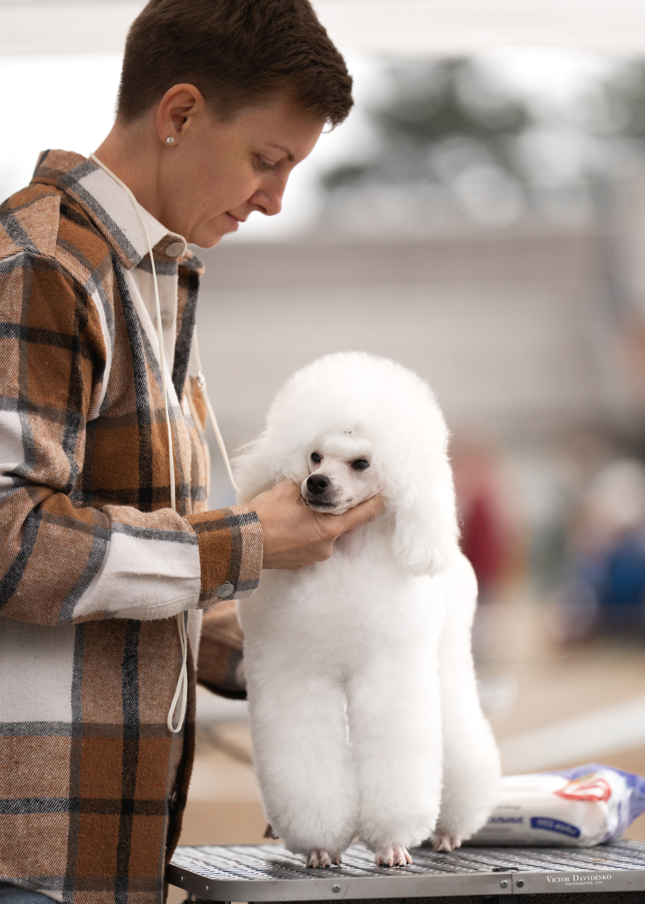 Dog Show. Давыденко Анна / Фотограф Краснодар/Сочи