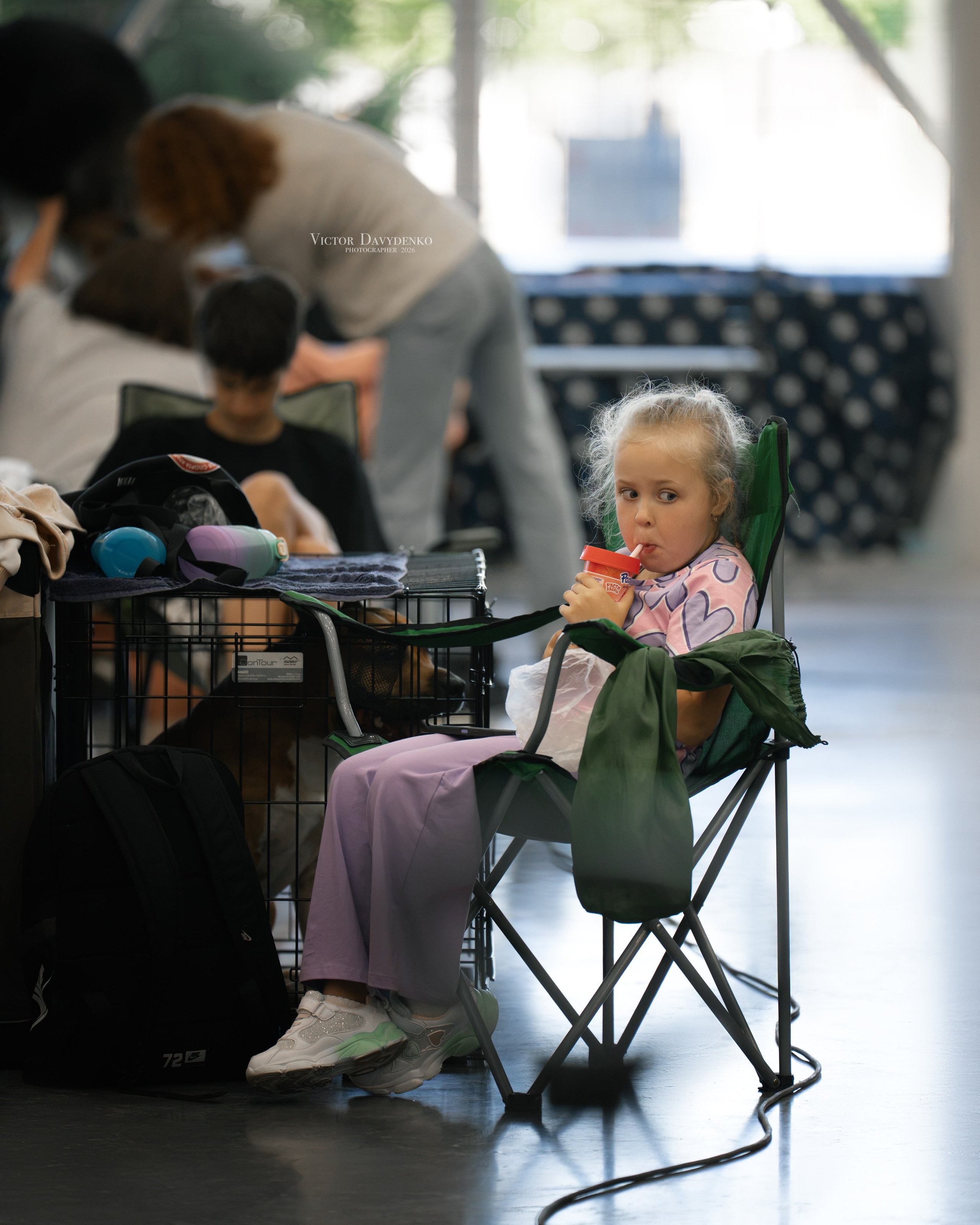 Dog Show. Давыденко Анна / Фотограф Краснодар/Сочи