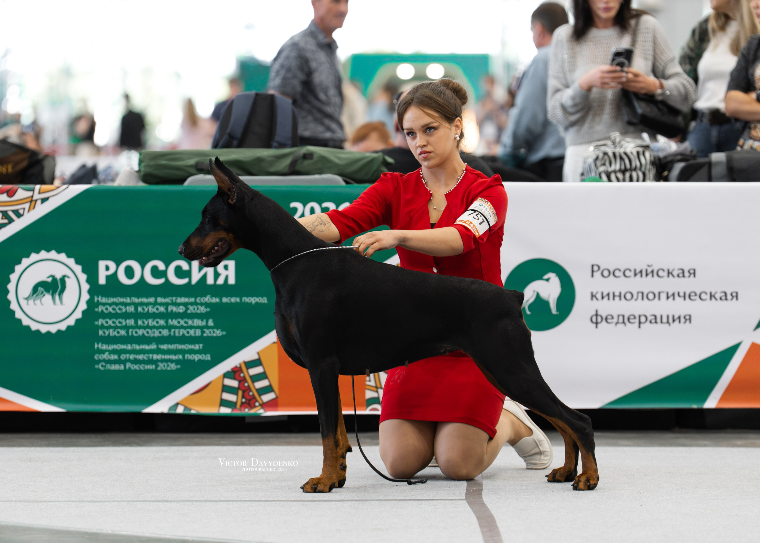 Dog Show. Давыденко Анна / Фотограф Краснодар/Сочи