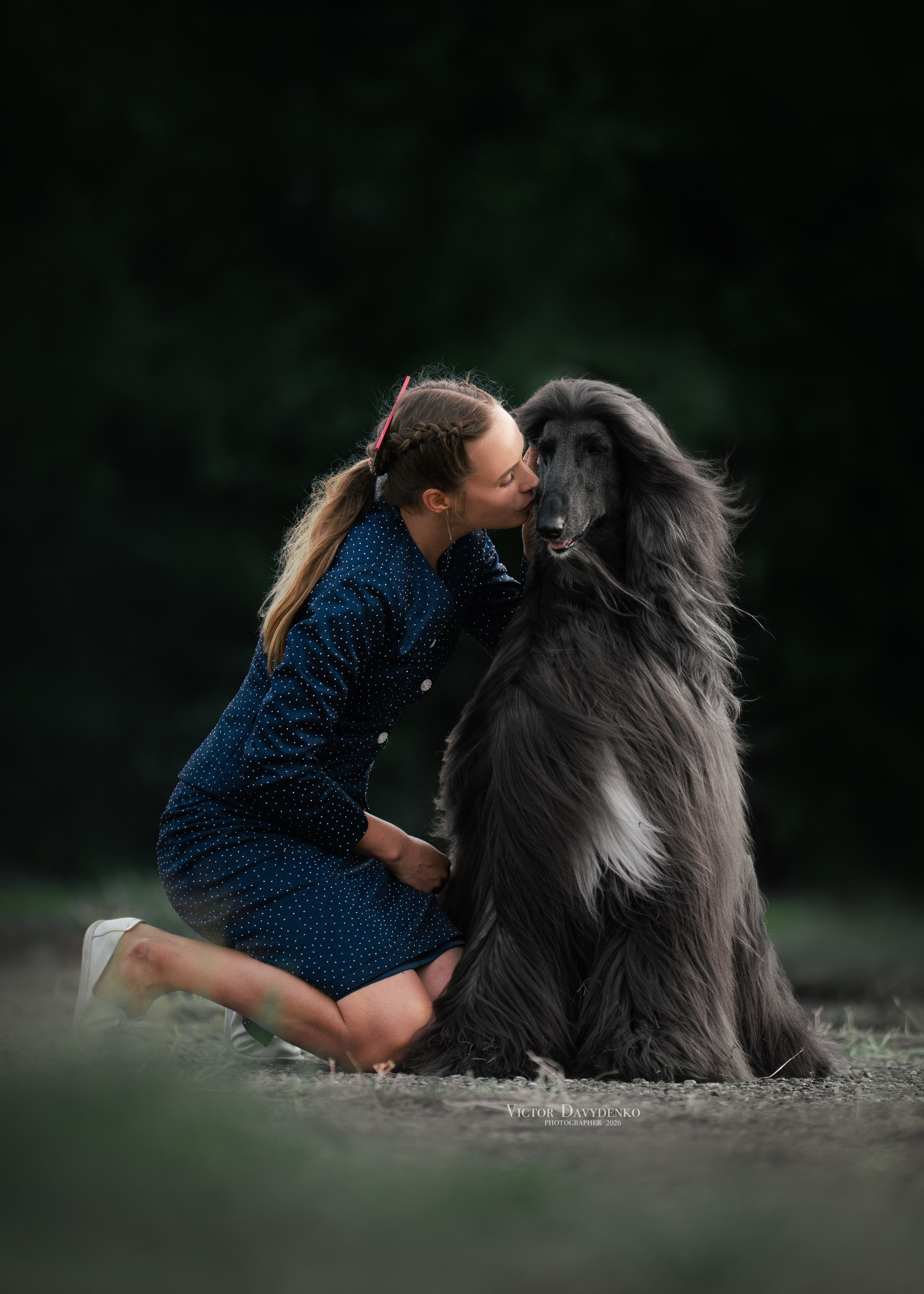 Dog Show. Давыденко Анна / Фотограф Краснодар/Сочи
