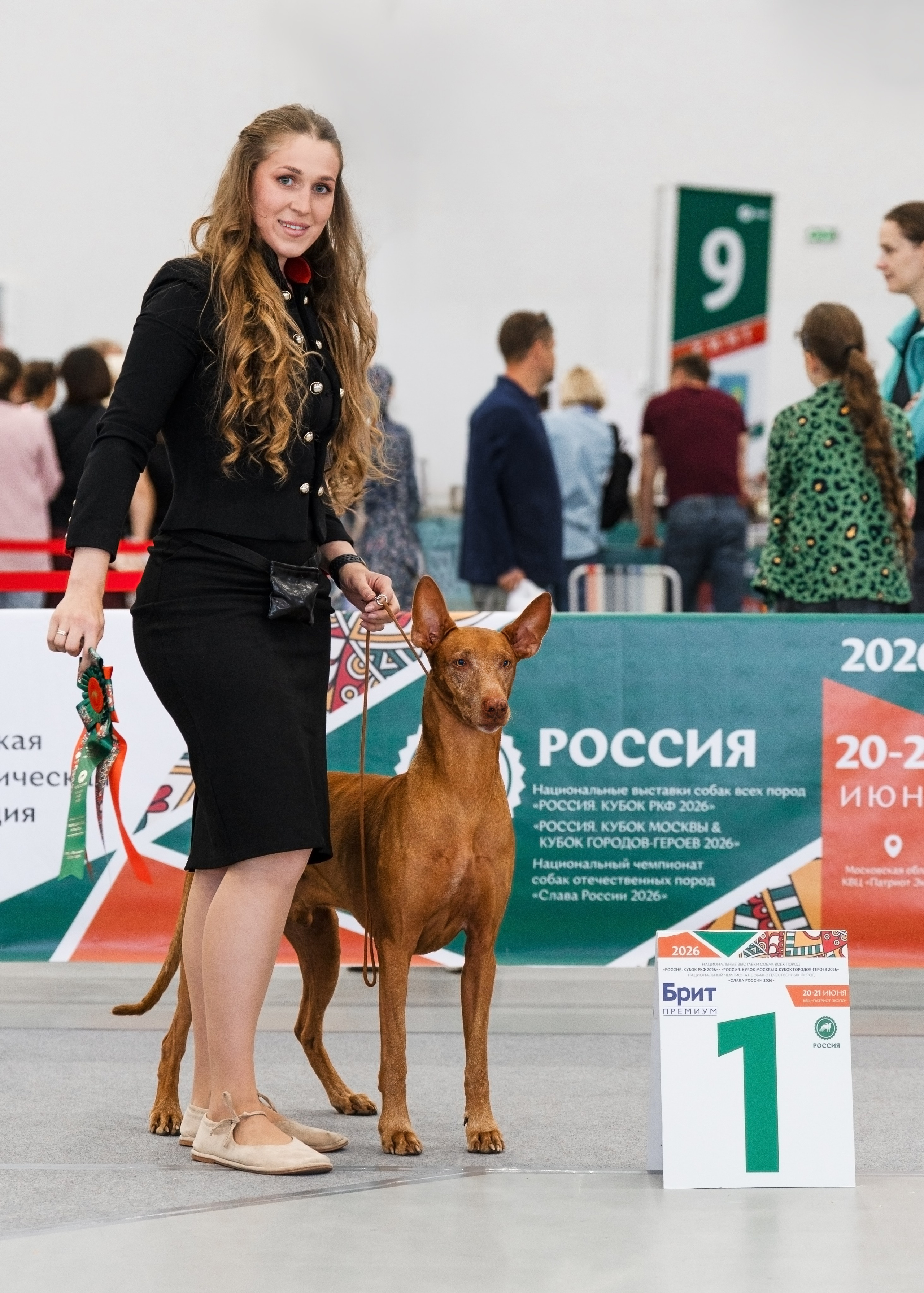 Dog Show. Давыденко Анна / Фотограф Краснодар/Сочи