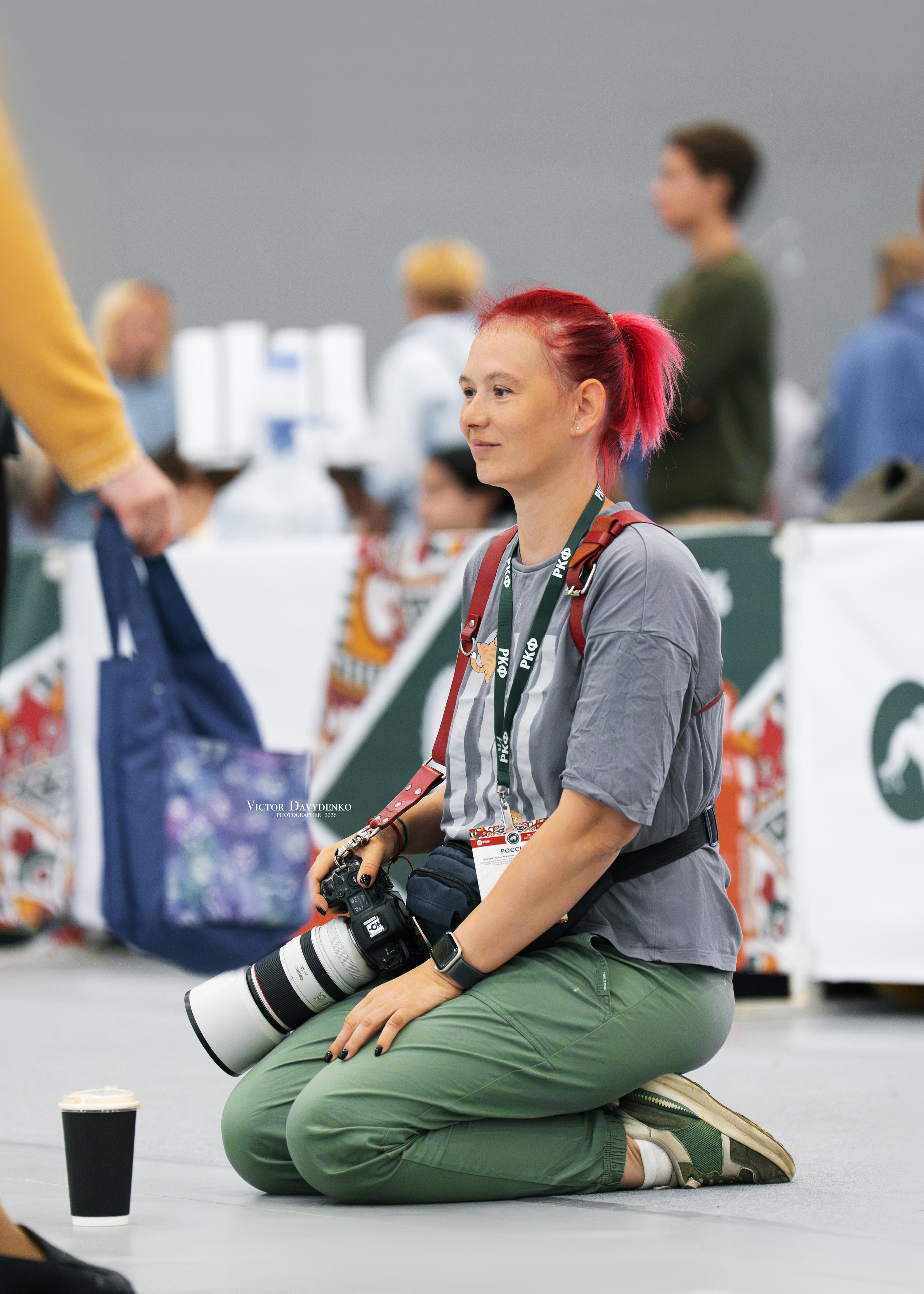 Dog Show. Давыденко Анна / Фотограф Краснодар/Сочи