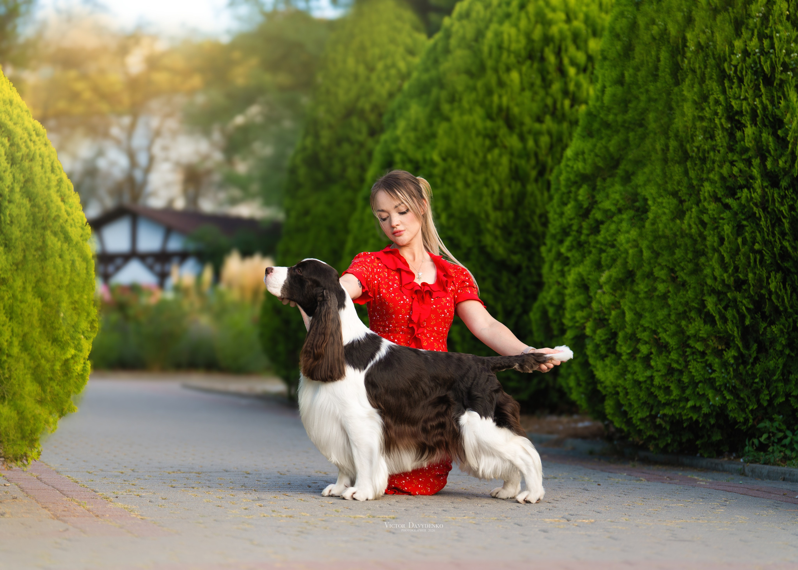 Dog Show. Давыденко Анна / Фотограф Краснодар/Сочи