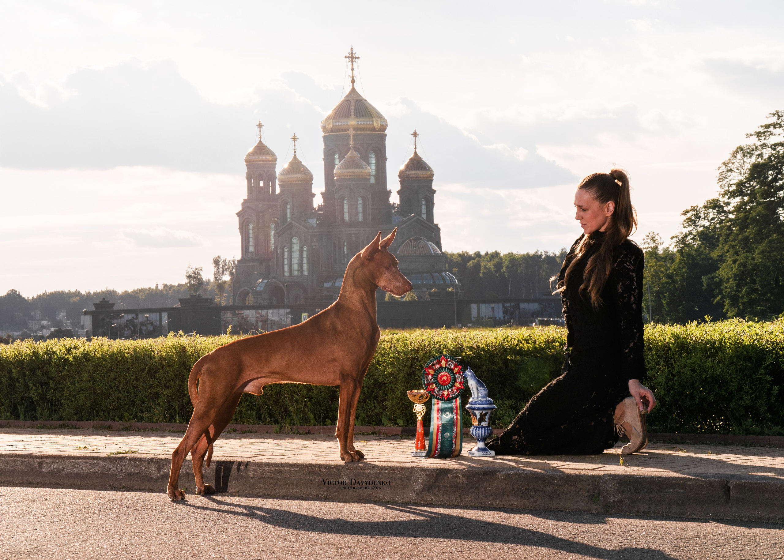 Dog Show. Давыденко Анна / Фотограф Краснодар/Сочи