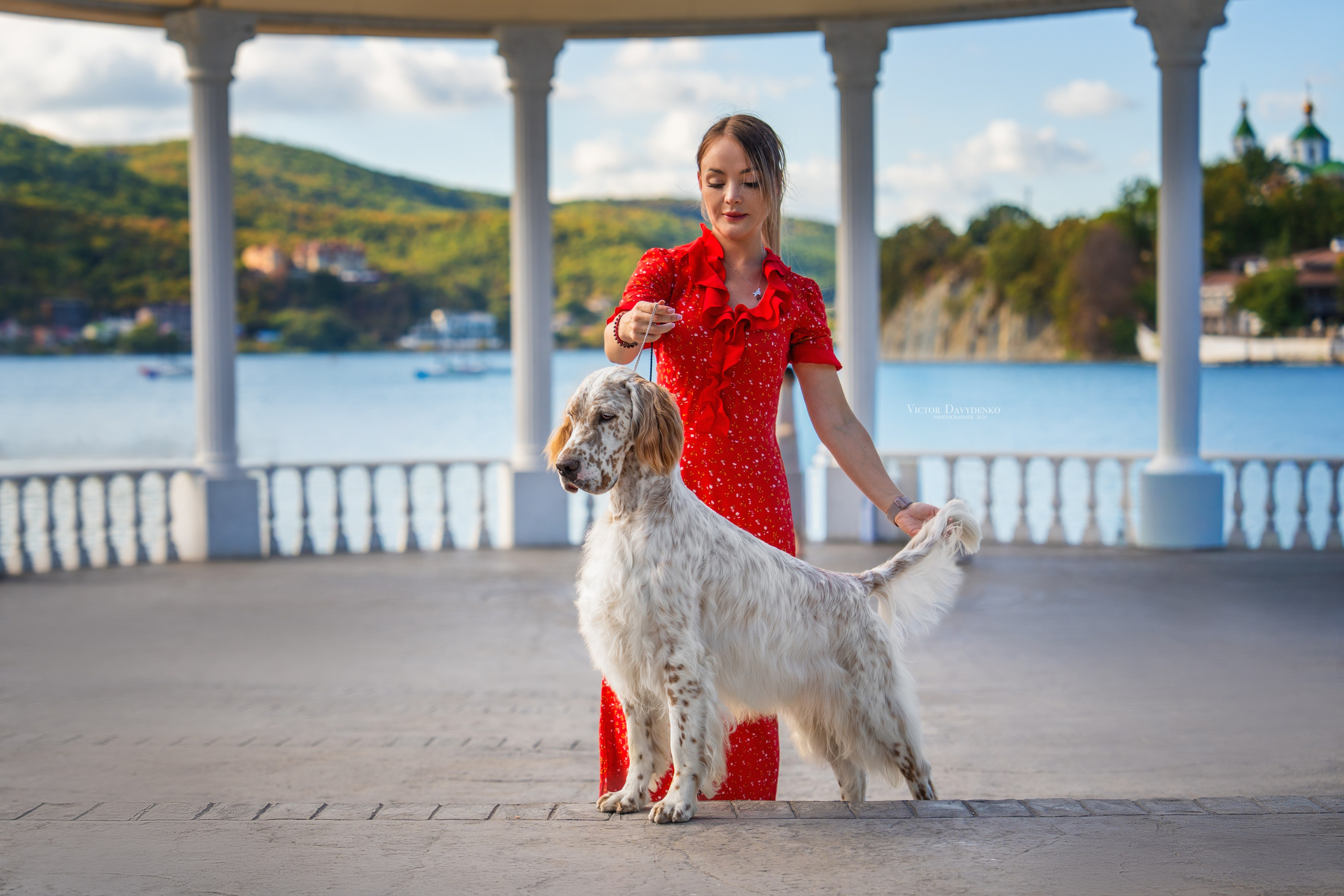 Dog Show. Давыденко Анна / Фотограф Краснодар/Сочи