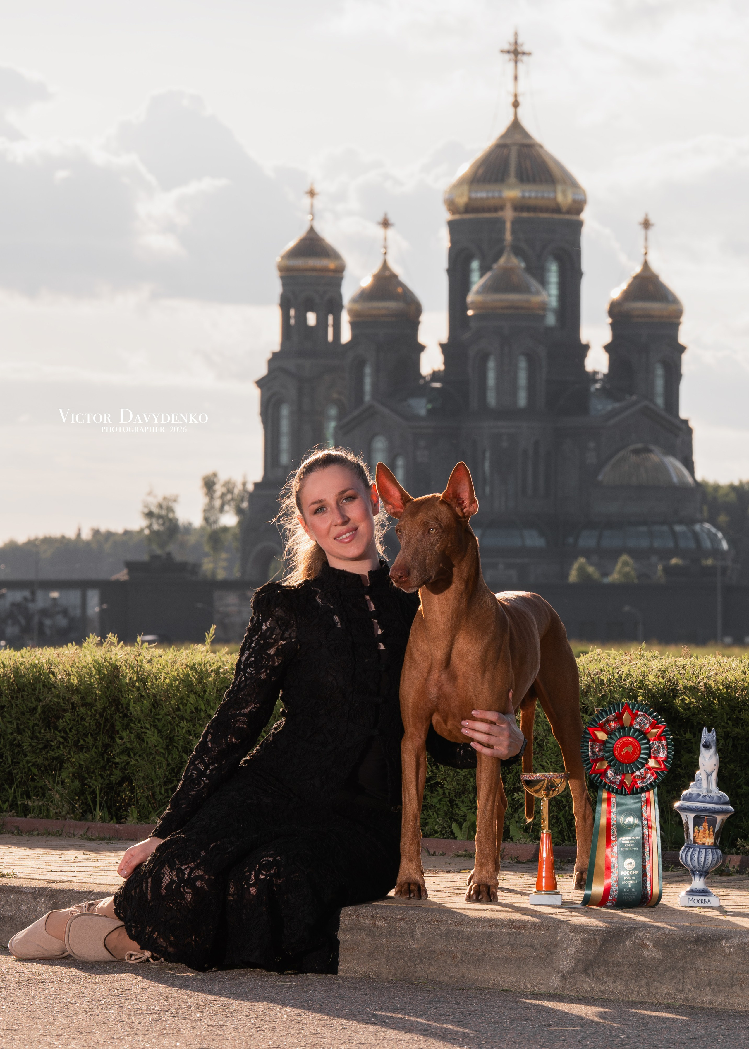 Dog Show. Давыденко Анна / Фотограф Краснодар/Сочи