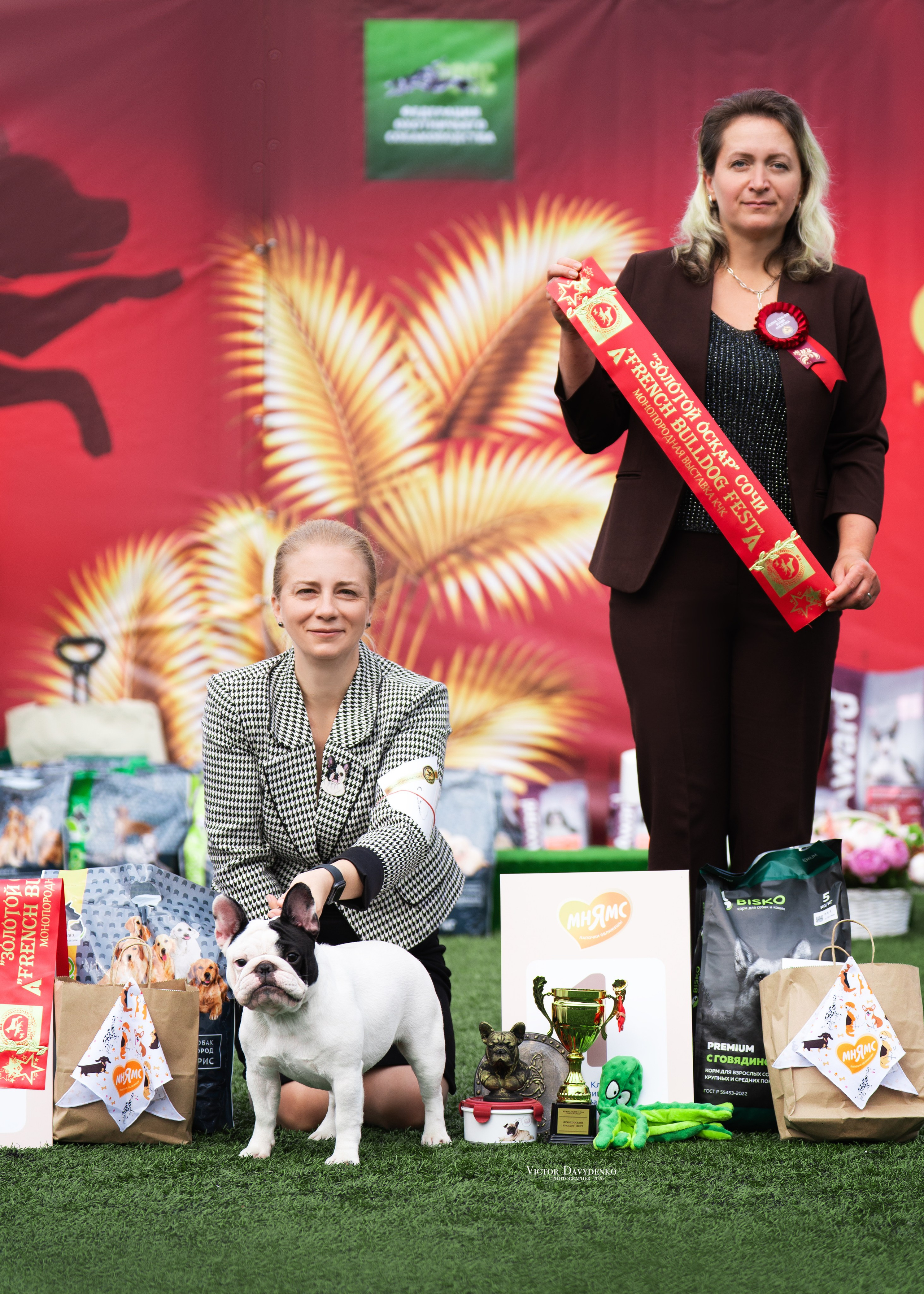 Dog Show. Давыденко Анна / Фотограф Краснодар/Сочи