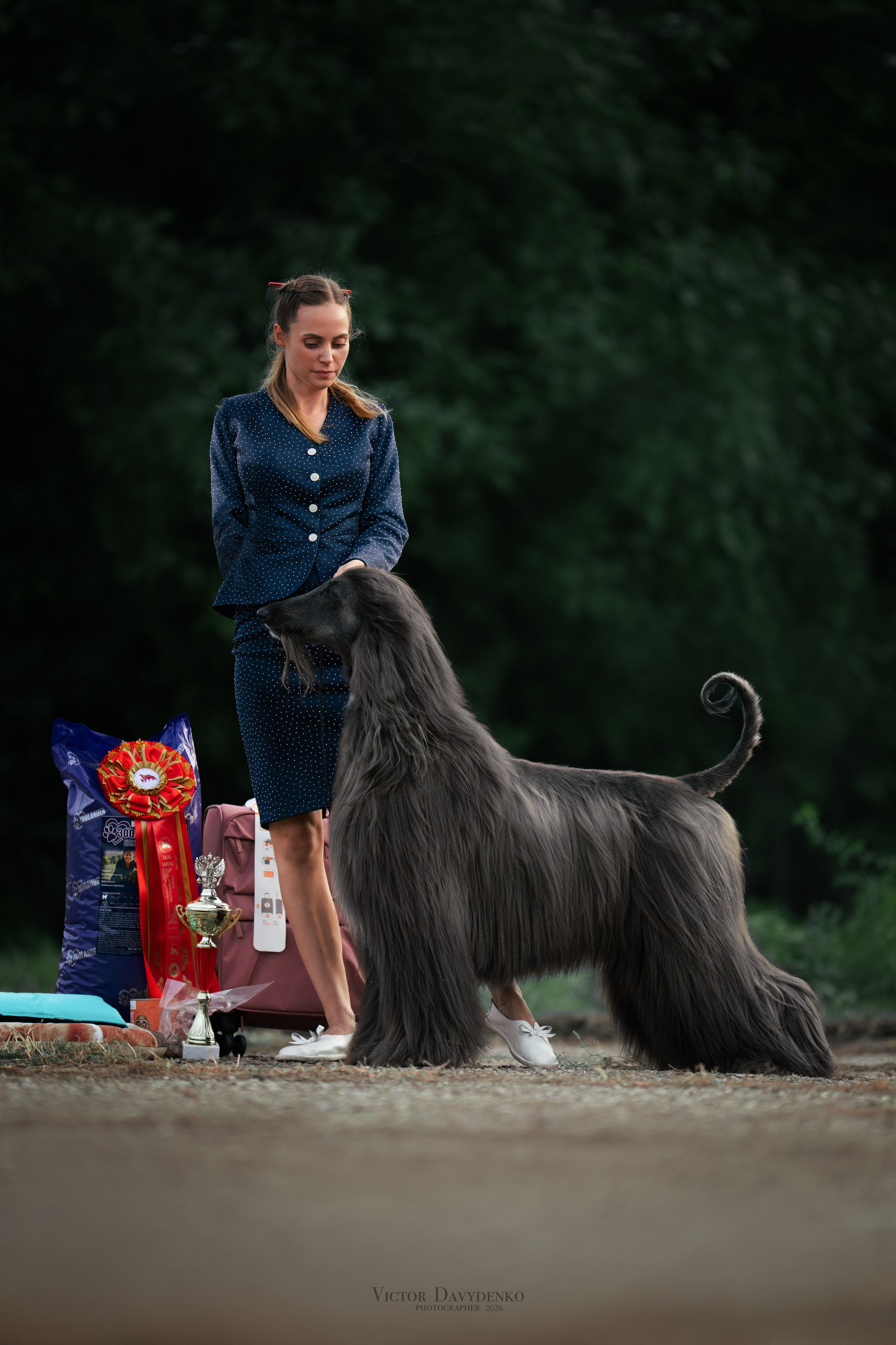 Dog Show. Давыденко Анна / Фотограф Краснодар/Сочи