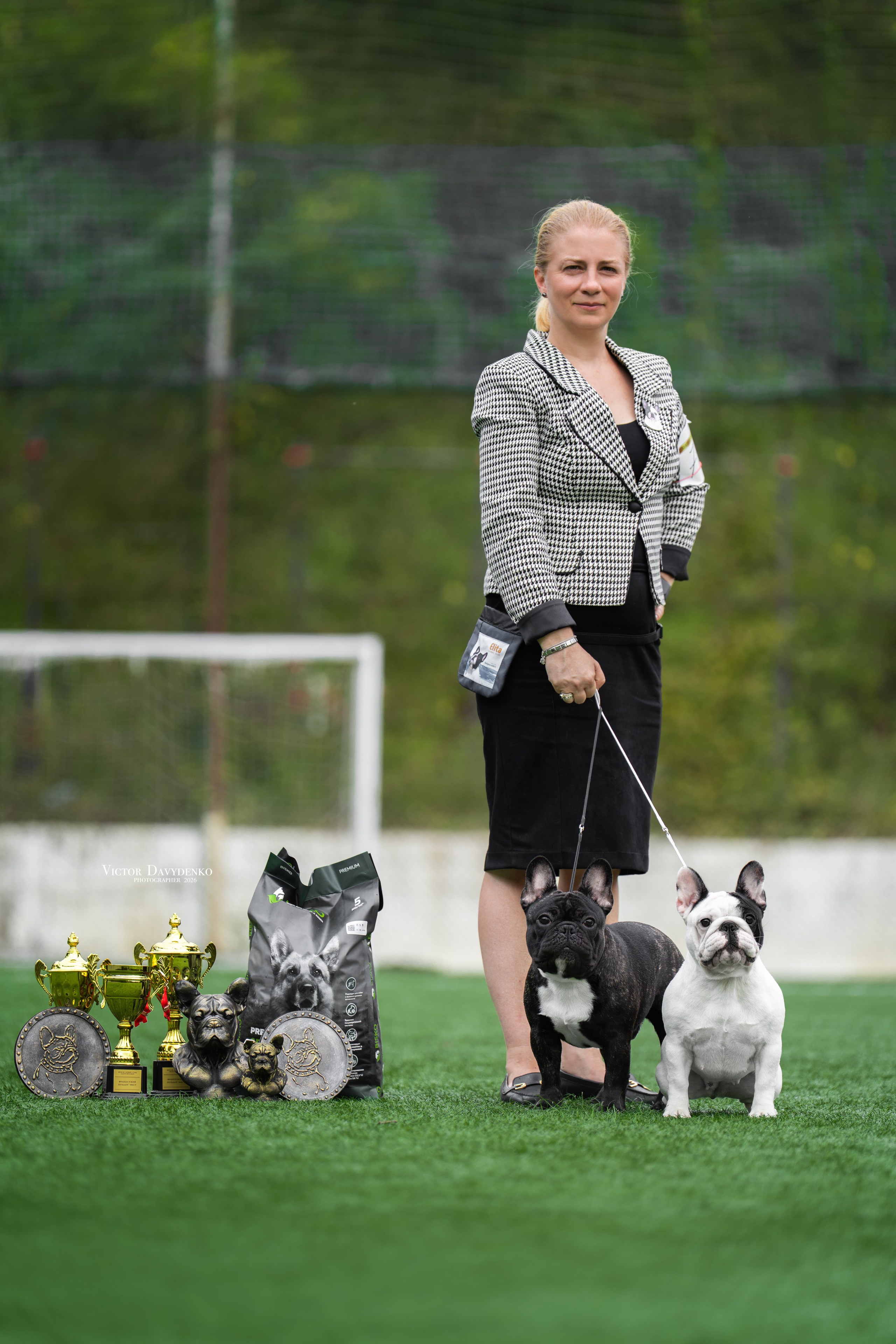 Dog Show. Давыденко Анна / Фотограф Краснодар/Сочи