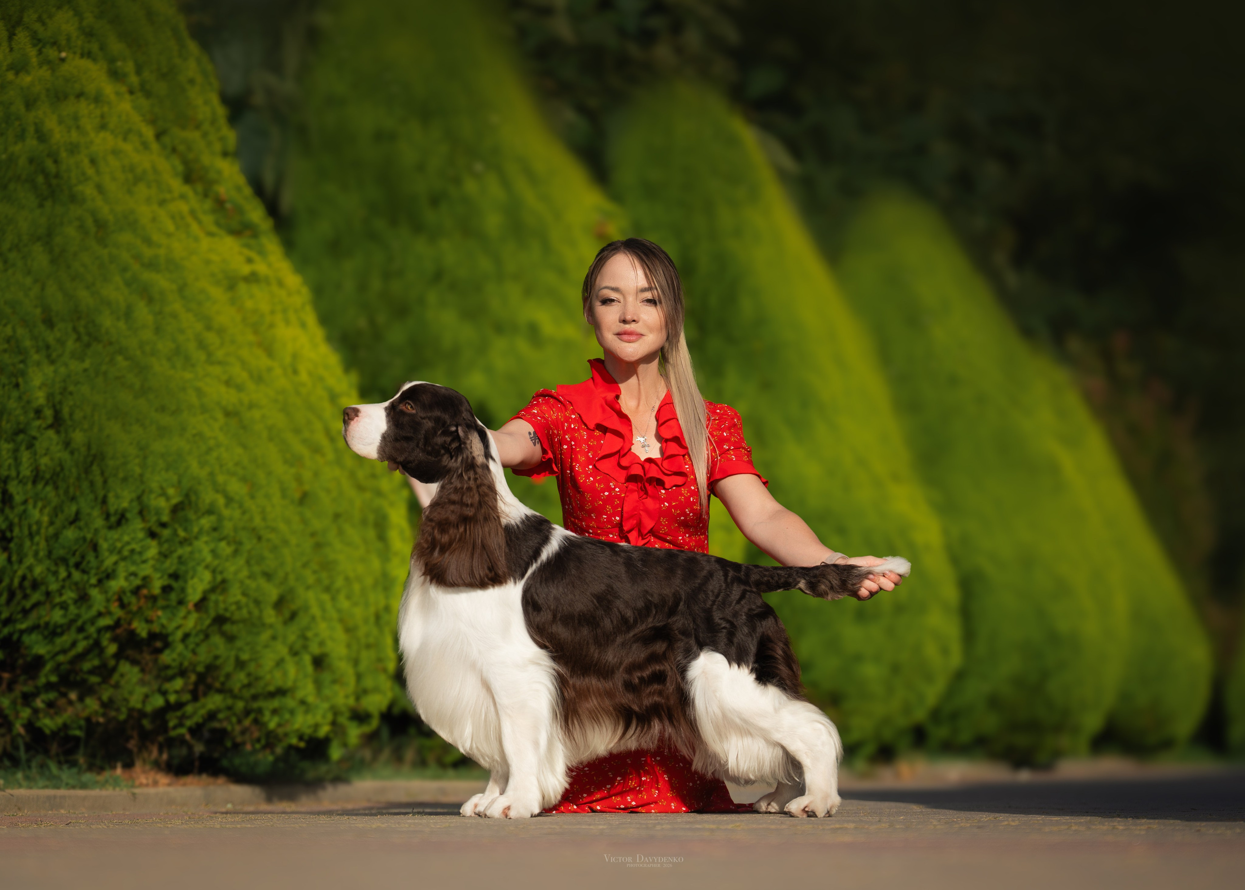 Dog Show. Давыденко Анна / Фотограф Краснодар/Сочи