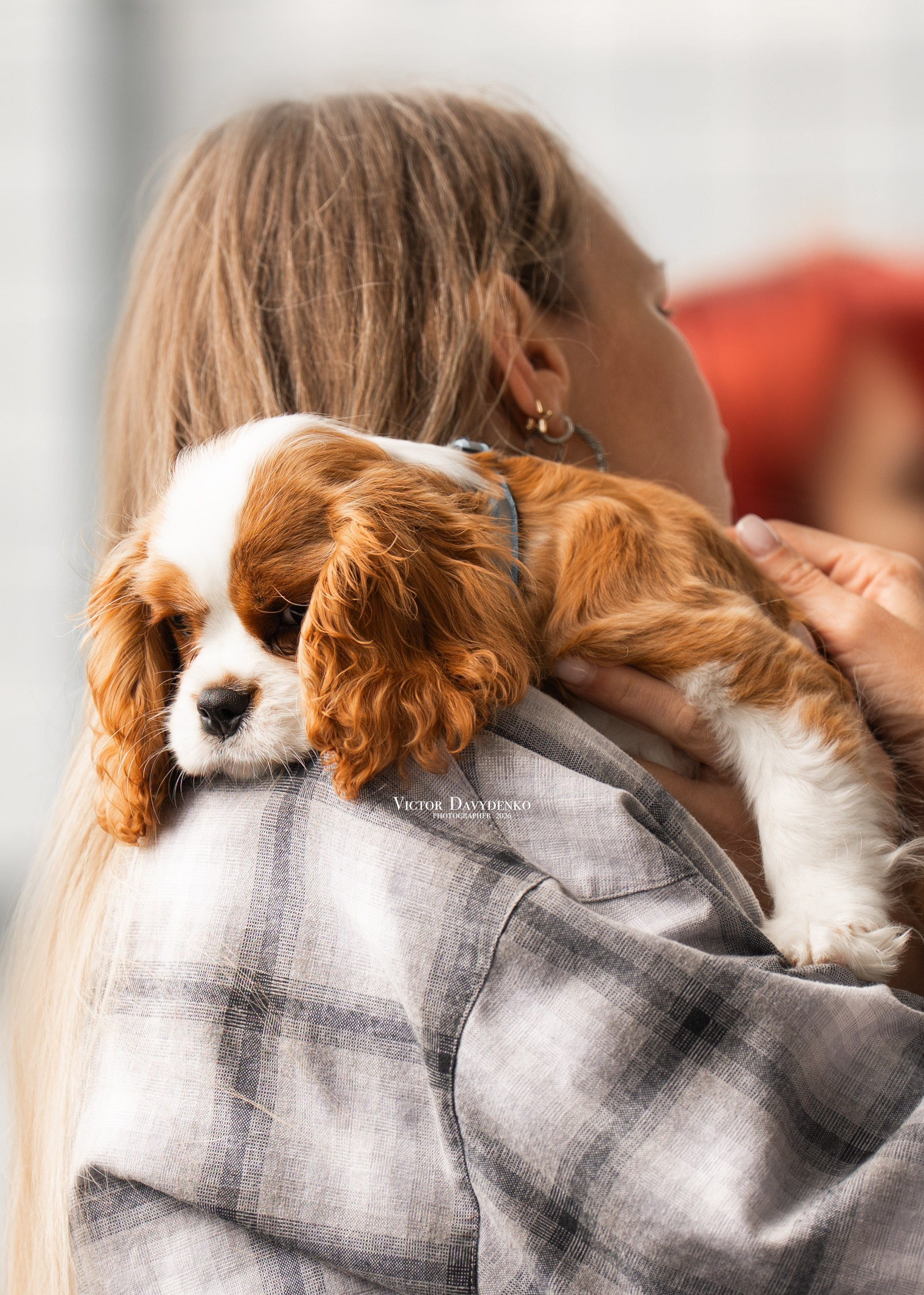 Dog Show. Давыденко Анна / Фотограф Краснодар/Сочи
