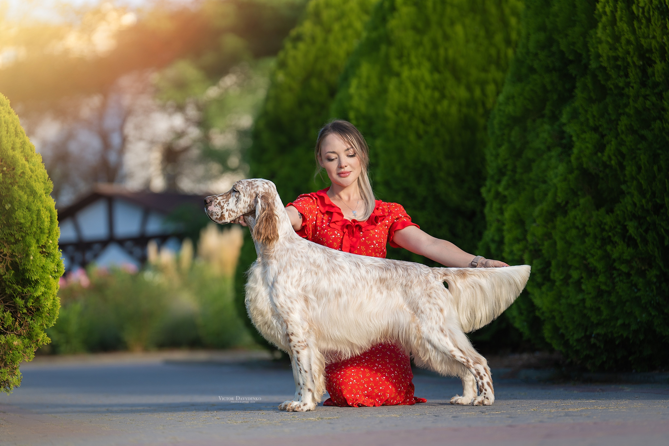 Dog Show. Давыденко Анна / Фотограф Краснодар/Сочи