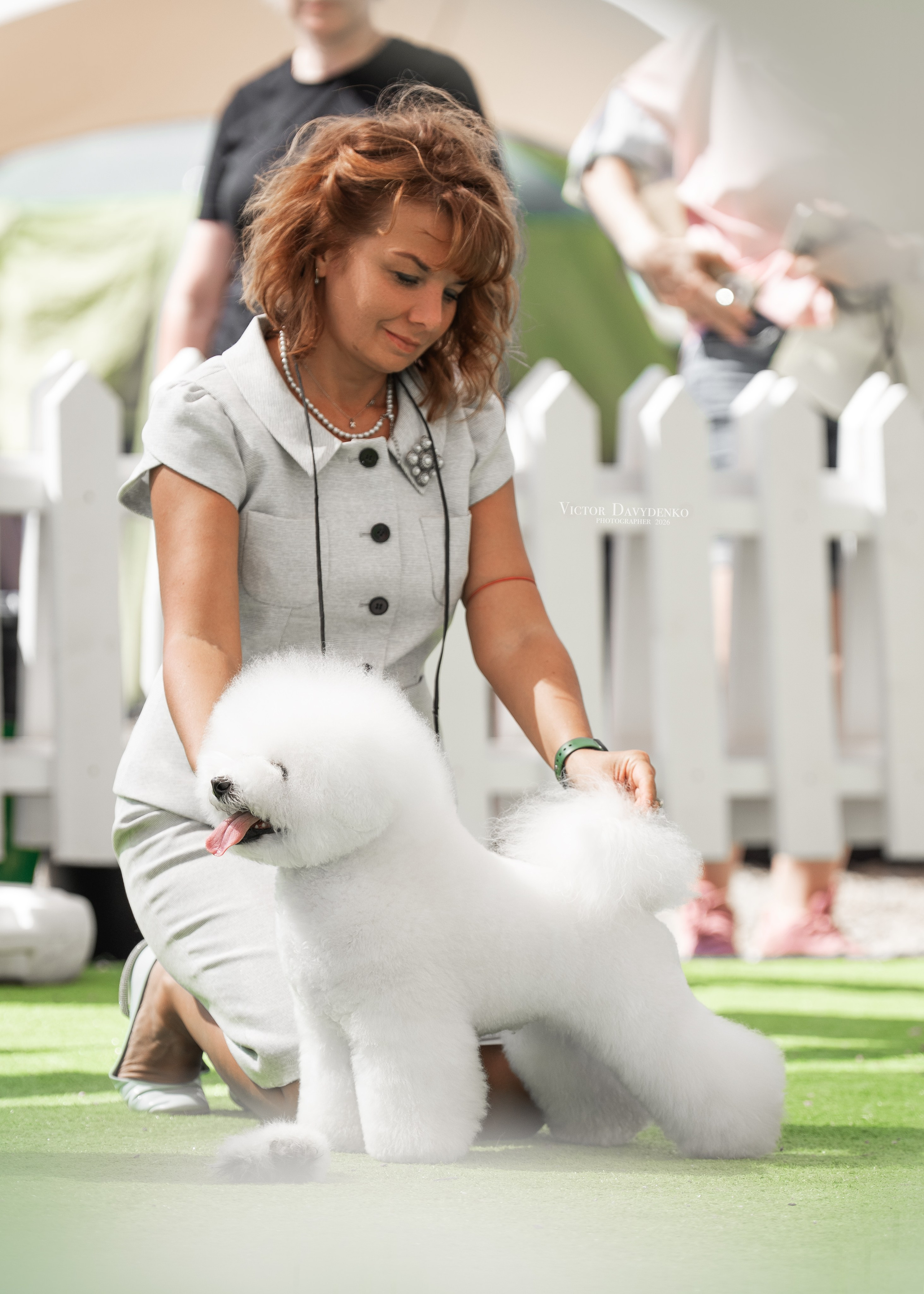 Dog Show. Давыденко Анна / Фотограф Краснодар/Сочи