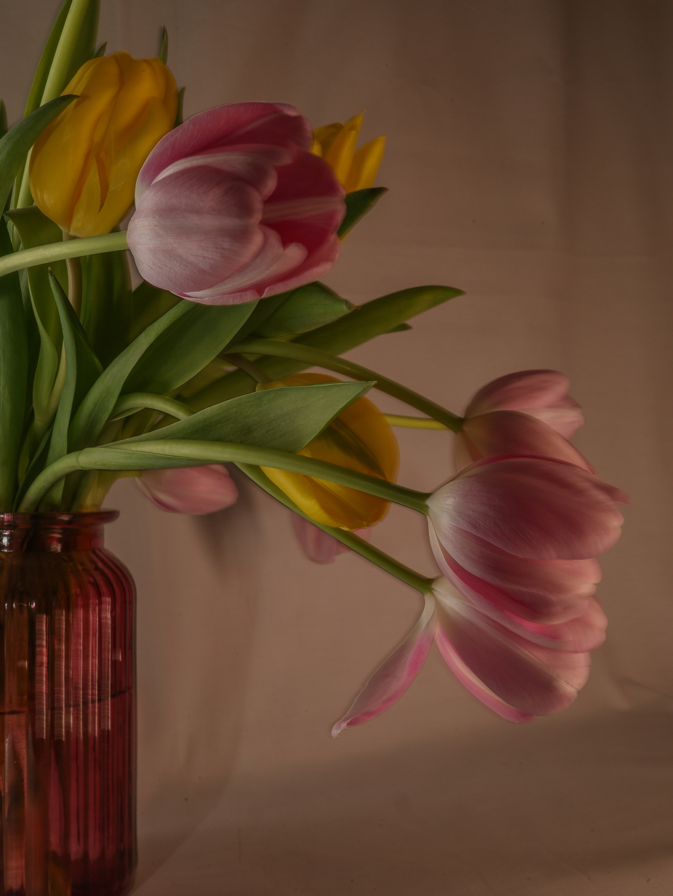 Природа &. Фотохудожник в СПб