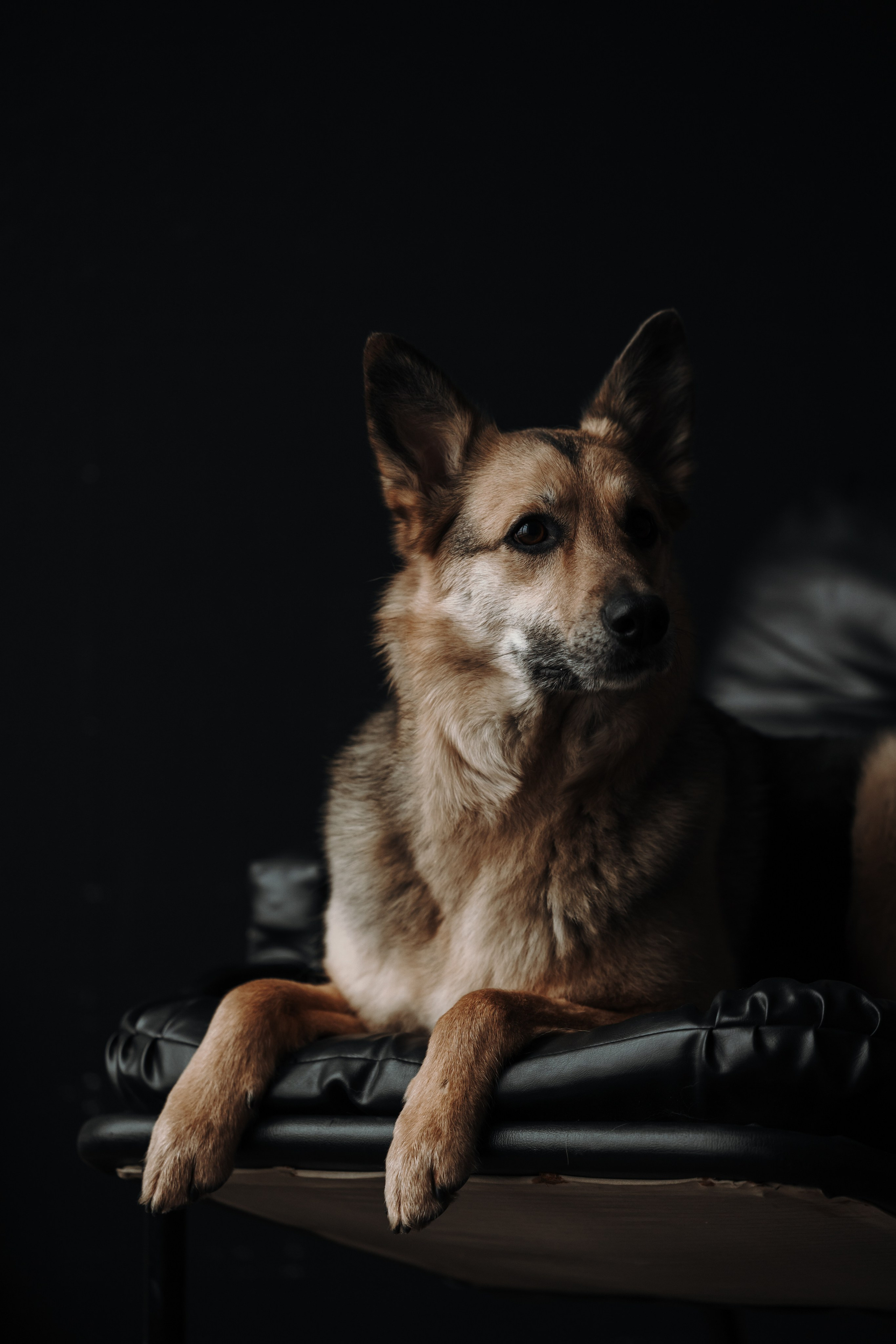 Лена и Дёма. Фотограф — Анималист | Санкт-Петербург