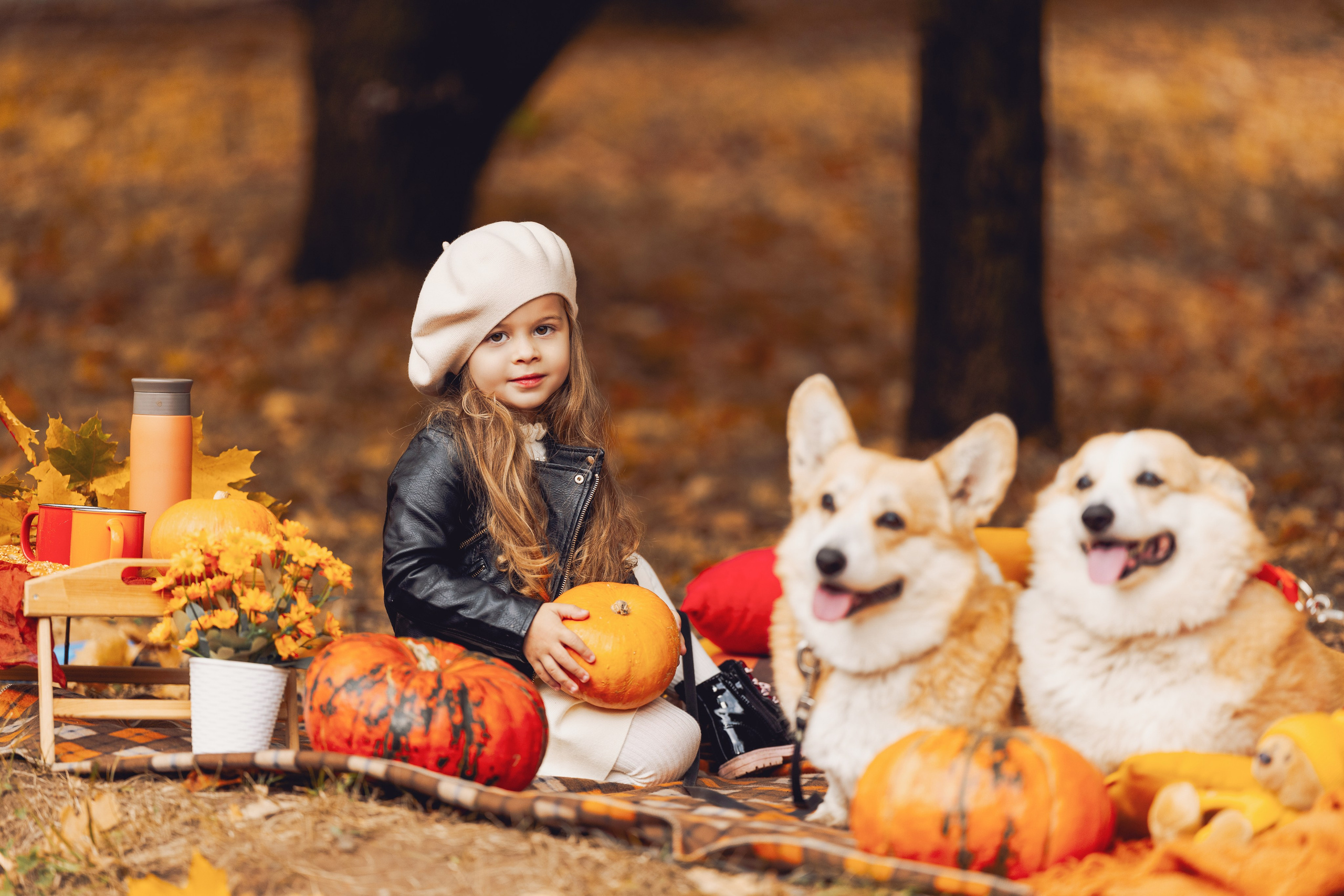 Золотая осень с корги. Свадебный и семейный фотограф в Рязани Датская Ксения