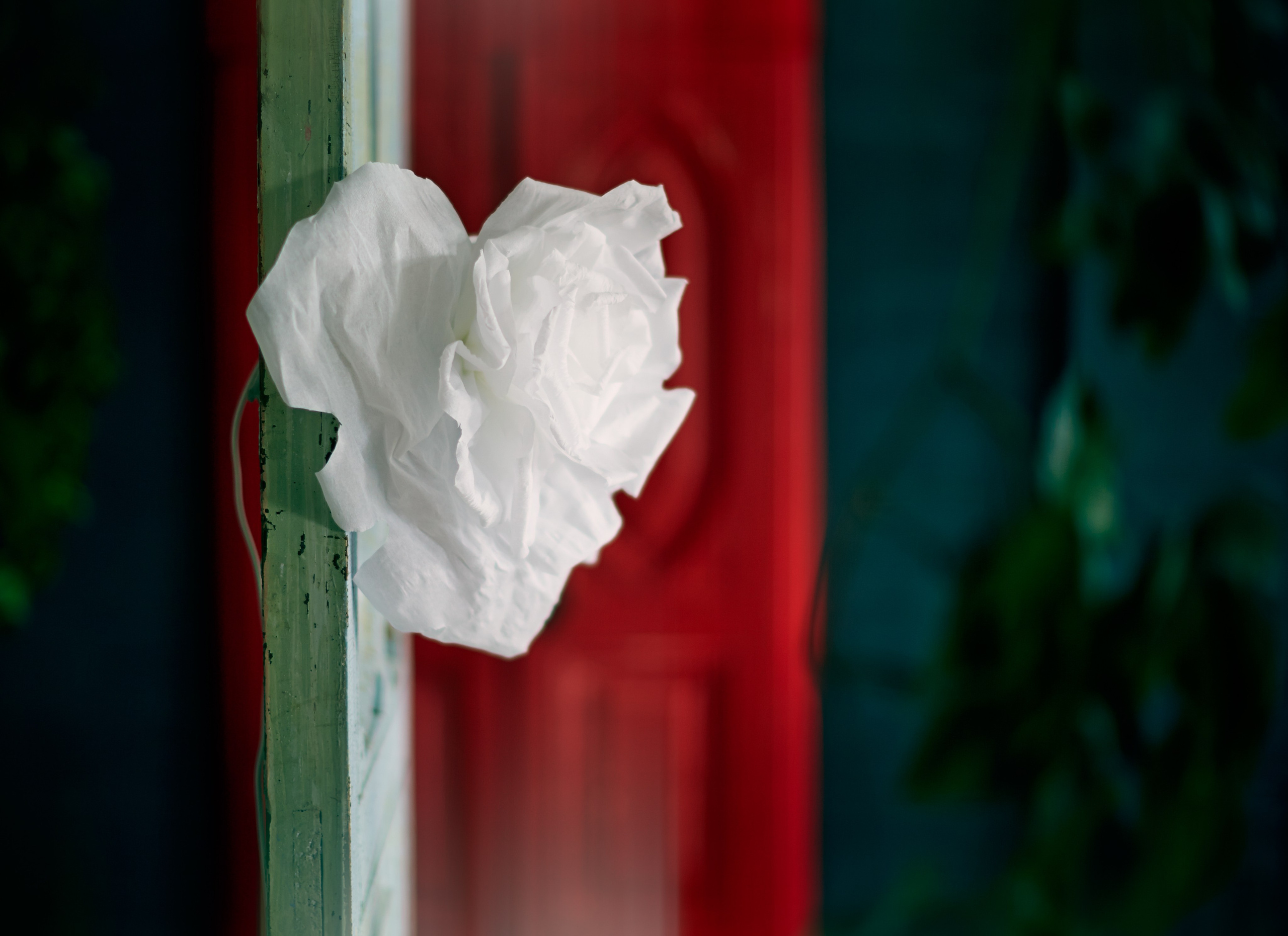 Женя. Интерьерный и портретный фотограф в Москве Анна Моногарова