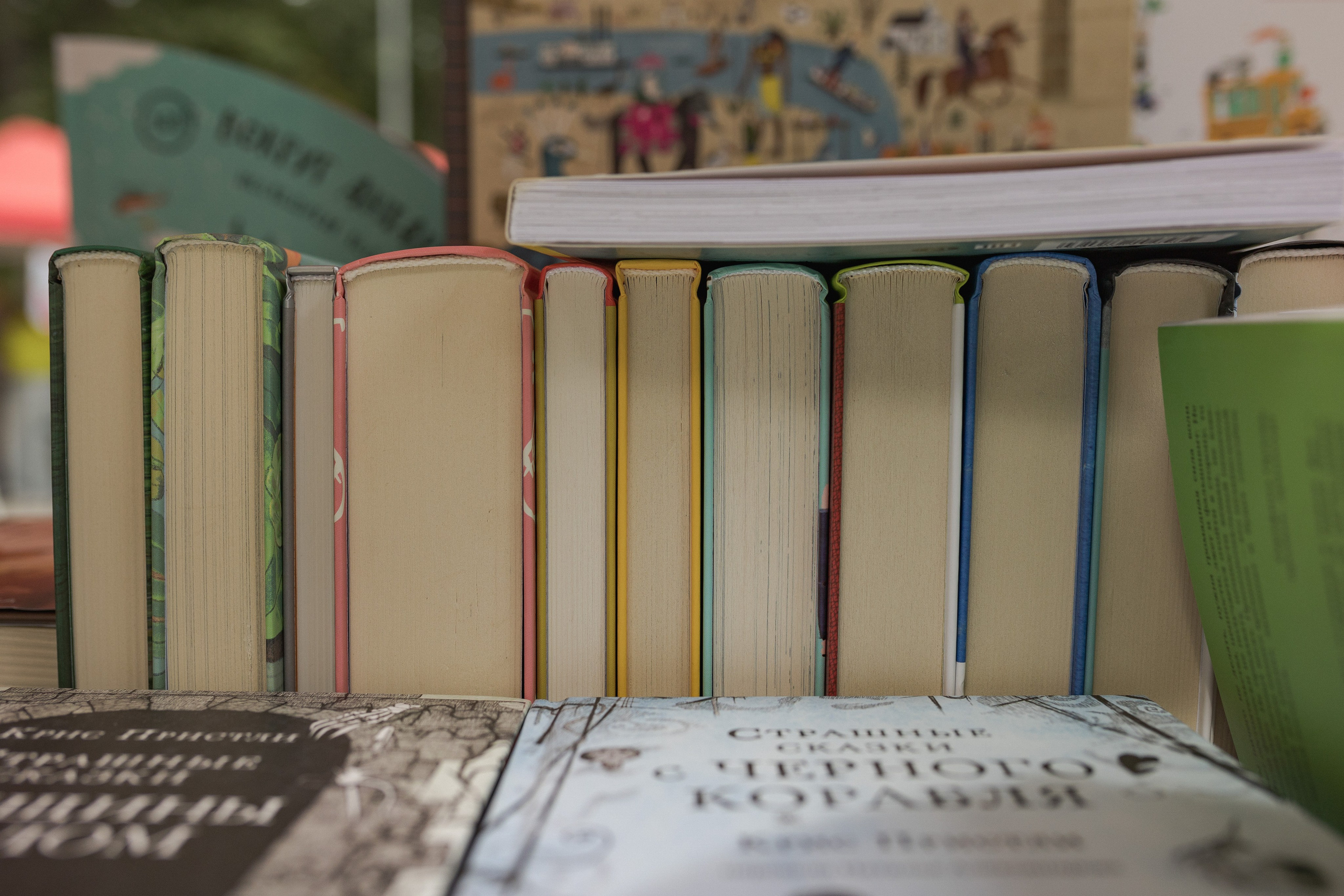 Книжный фестиваль «Смены» в Выксе 2024. Фотограф городских и семейных событий Артем Карпухин